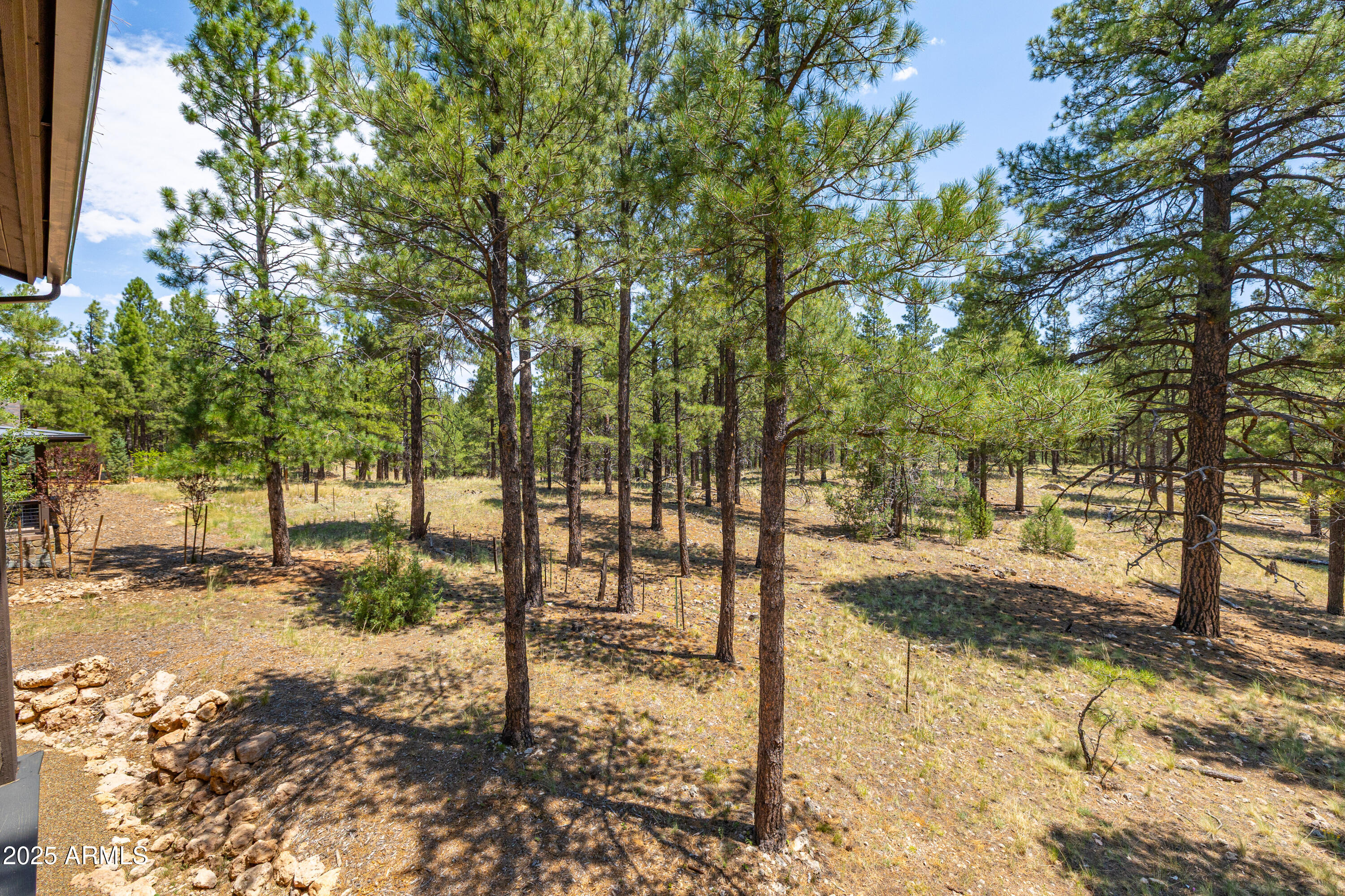 Pine Canyon - Residential