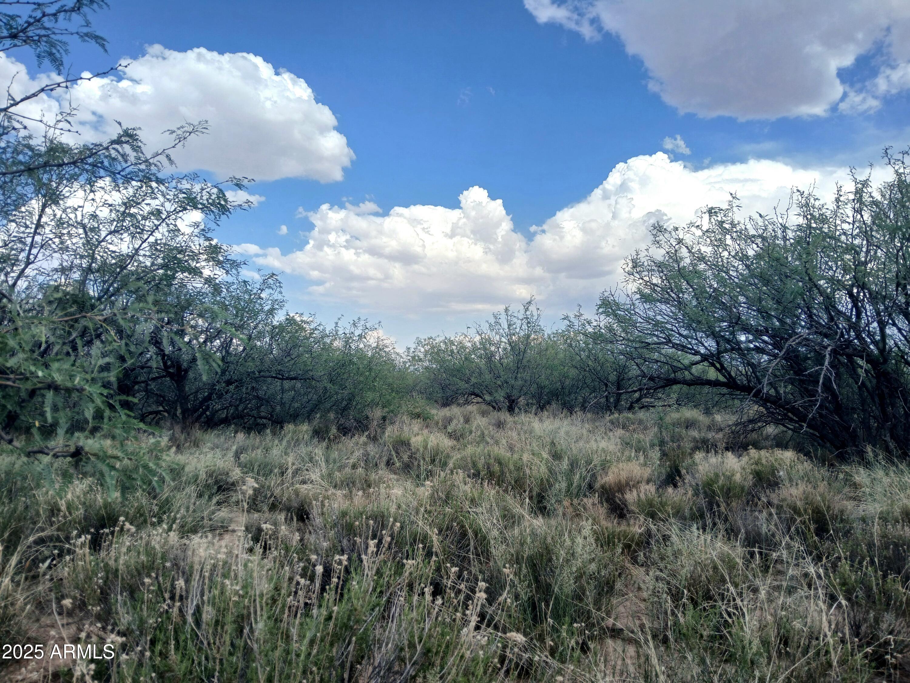 Great opportunity to own 10 easy to access acres that's staring right into the gateway of the Cochise Stronghold. Power and fiber-optic internet on the corner of the lot encourage quick and painless development. Gentle sloping puts this land well above the neighboring valley. Sip coffee and sit eye-level with the clouds over the Sulphur Spring. The land itself is a balance of dense mesquite forest and grassy clearings. Rich biodiversity, dynamic geology, and year-round wildlife activity promise nuance and novelty with every visit. Desirable RU-4 zoning allows for many expansion options. Do things your way. Direct access from Dreamcatcher. The National Forest is 10 minutes away. World-class climbing, birding, and hiking. Only an hour south of Tucson. Seller is a licensed real-estate broker
