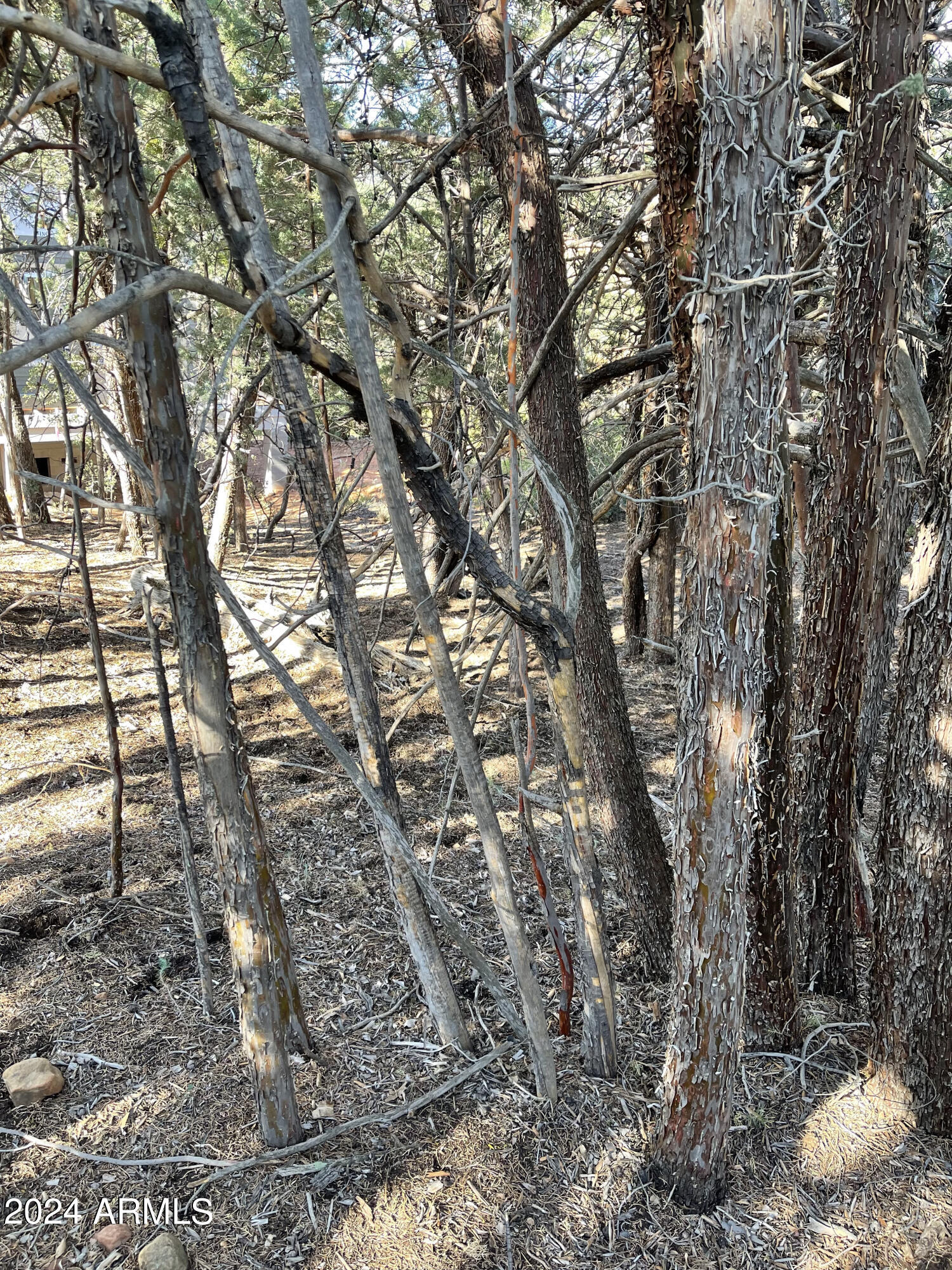 PORTAL PINE CREEK CANYON 4 - Land