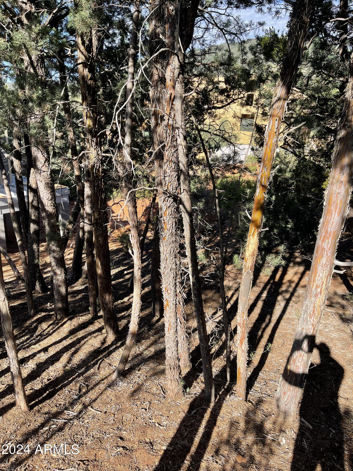PORTAL PINE CREEK CANYON 4 - Land