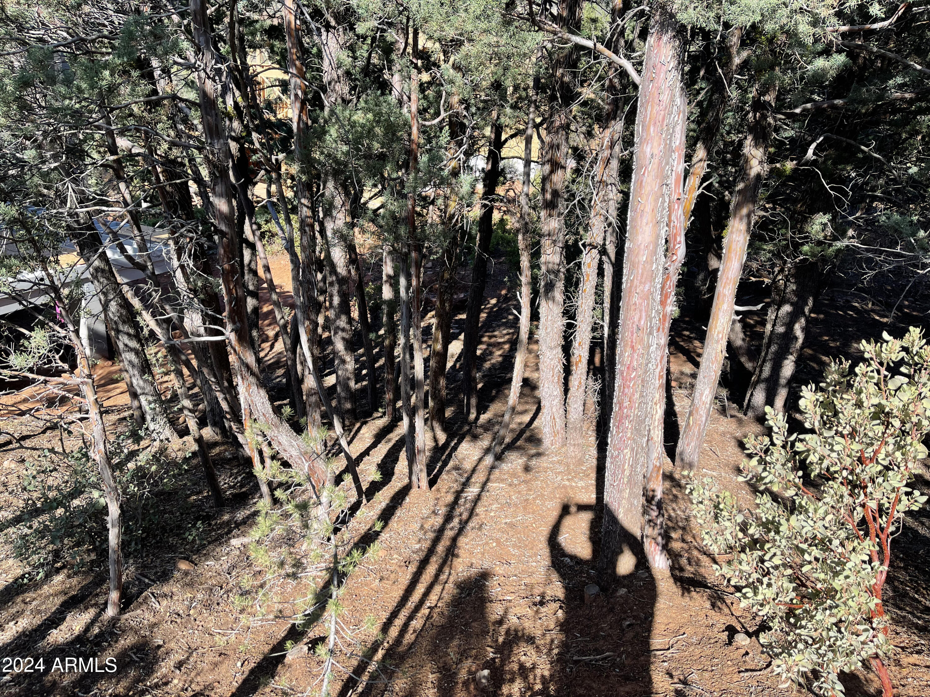 PORTAL PINE CREEK CANYON 4 - Land