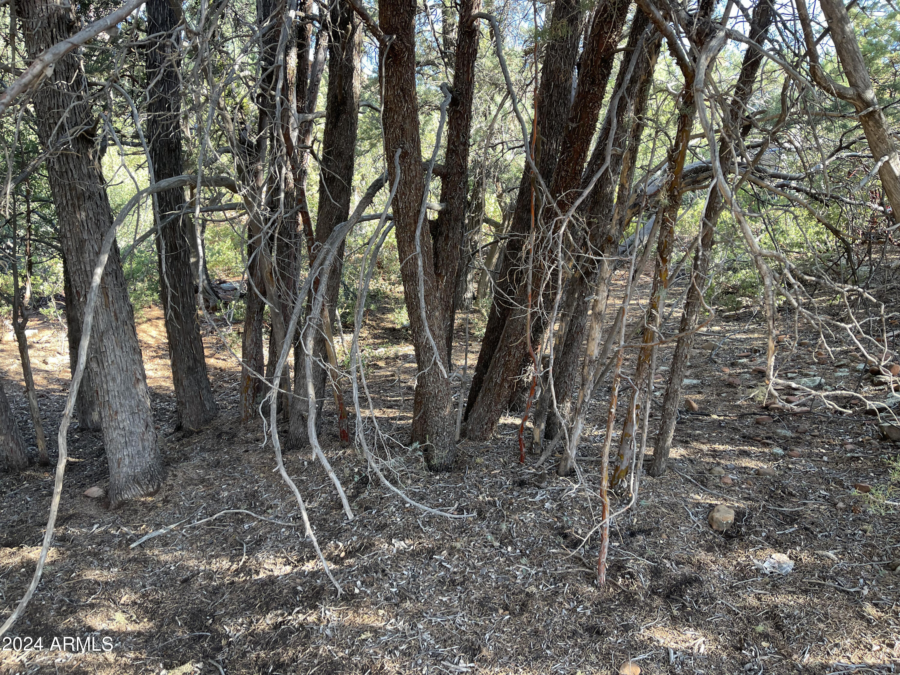 PORTAL PINE CREEK CANYON 4 - Land