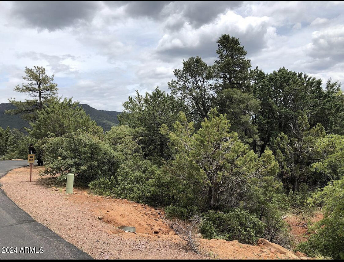 9 Lodgepole Circle, Pine, AZ, 85544 | Portal 4
- 
Nestled among the tall pines of the highly-desired Portal IV community of Pine, Arizona, this exceptional homesite offers a rare opportunity to build your ideal mountain retreat without the uncertainty and expense of raw land development.

This level, build-ready lot already has water, sewer, and electric available, making it one of the most convenient and cost-effective ways to bring your vision of a mountain home to life. Surrounded by natural beauty and established homes, the setting offers the perfect balance of privacy, peace, and community. Imagine mornings on your future porch with cool mountain air, evenings under a canopy of stars, and weekends spent creating lifelong memories with family and friends in your own custom retreat. Whether you're planning a full-time residence or a second home escape from the valley heat, this property provides the ideal foundation.

Located in one of Pine's most sought-after neighborhoods, you'll enjoy the serenity of forest living while still being just minutes from local dining, hiking, and all the charm the Rim Country offers.

Opportunities like this are rare--especially in a location where so much of the work is already done for you. Bring your builder and start planning your mountain getaway today.