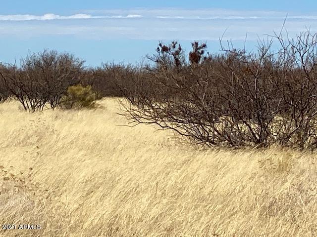 THREE CANYONS - Land