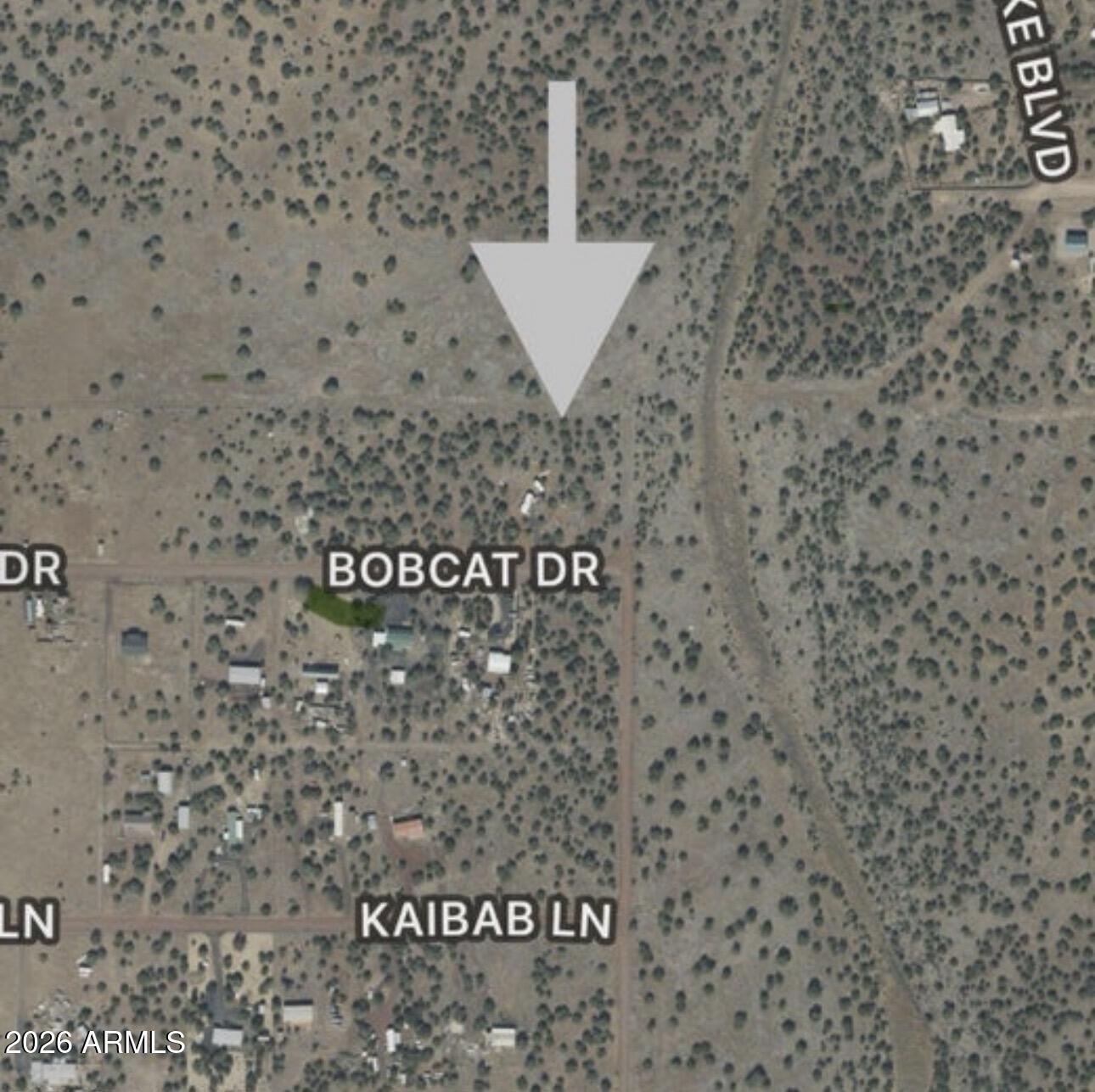 Silver Lake Estates (Show Low, AZ) - Land