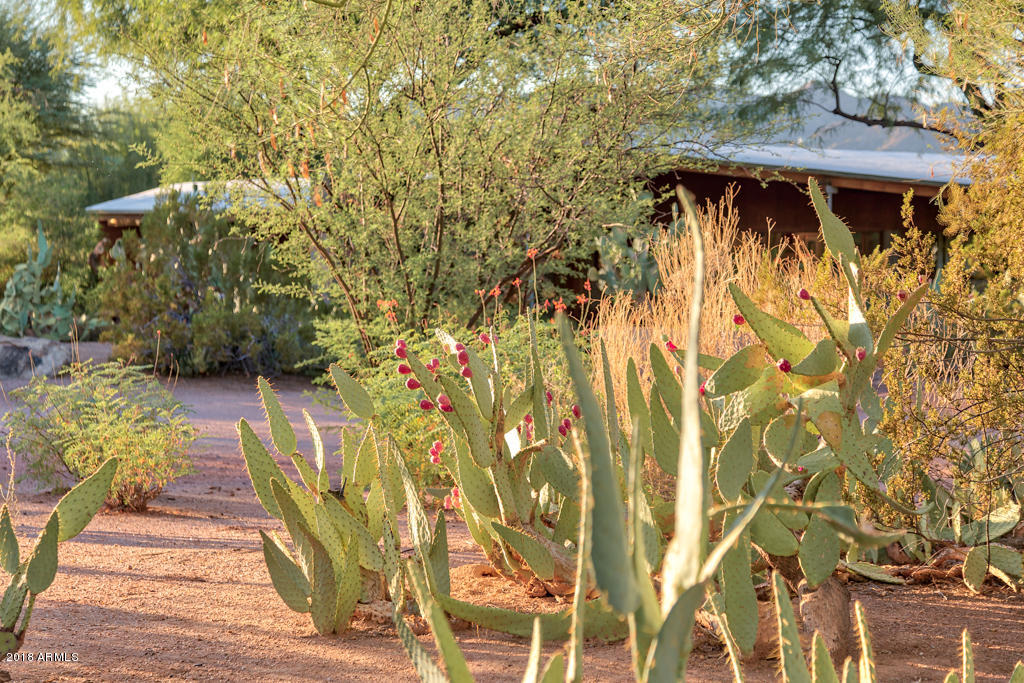 Starlight Gardens - Residential