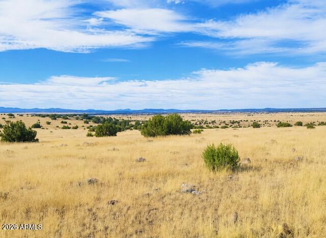 Discover the beauty and freedom of country living on this stunning 1.12-acre parcel in the growing community of Concho Valley. With breathtaking views overlooking the entire valley, this property offers the perfect setting to build your dream home, vacation retreat, or weekend getaway. Enjoy the flexibility of NO HOA and plenty of room for your horses, outdoor toys, and future improvements. Whether you're seeking a peaceful escape or a place to create your ideal homestead, this scenic lot provides endless possibilities under Arizona's wide-open skies. Don't miss this opportunity to own a piece of Concho Valley's expanding landscape!