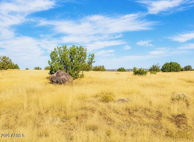 CONCHO VALLEY UNIT 3 - Land