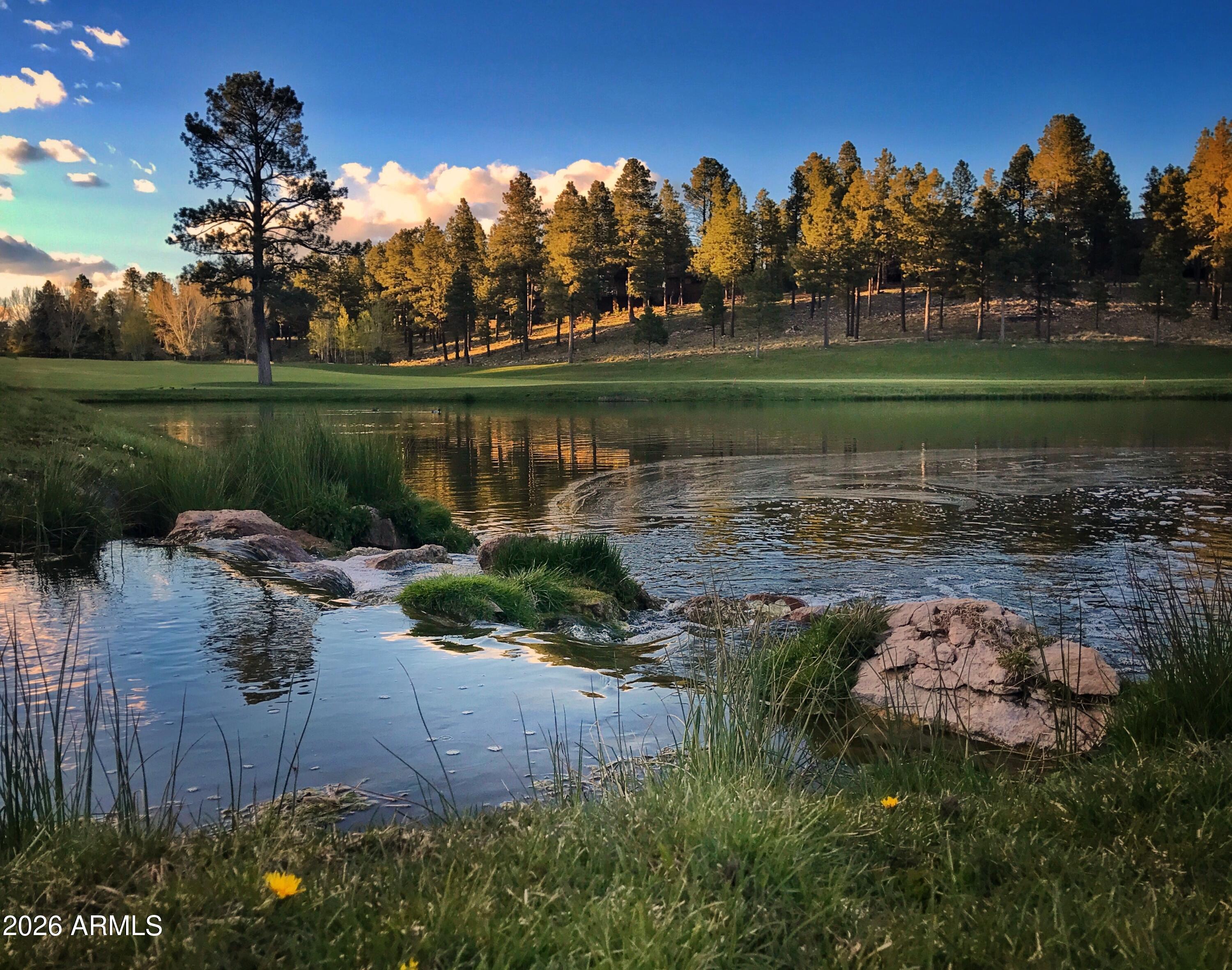 PINE CANYON - Residential