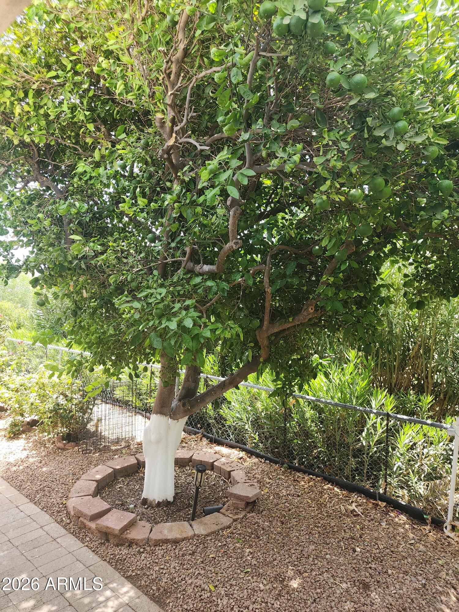 FLORENCE GARDENS UNIT B - Residential
