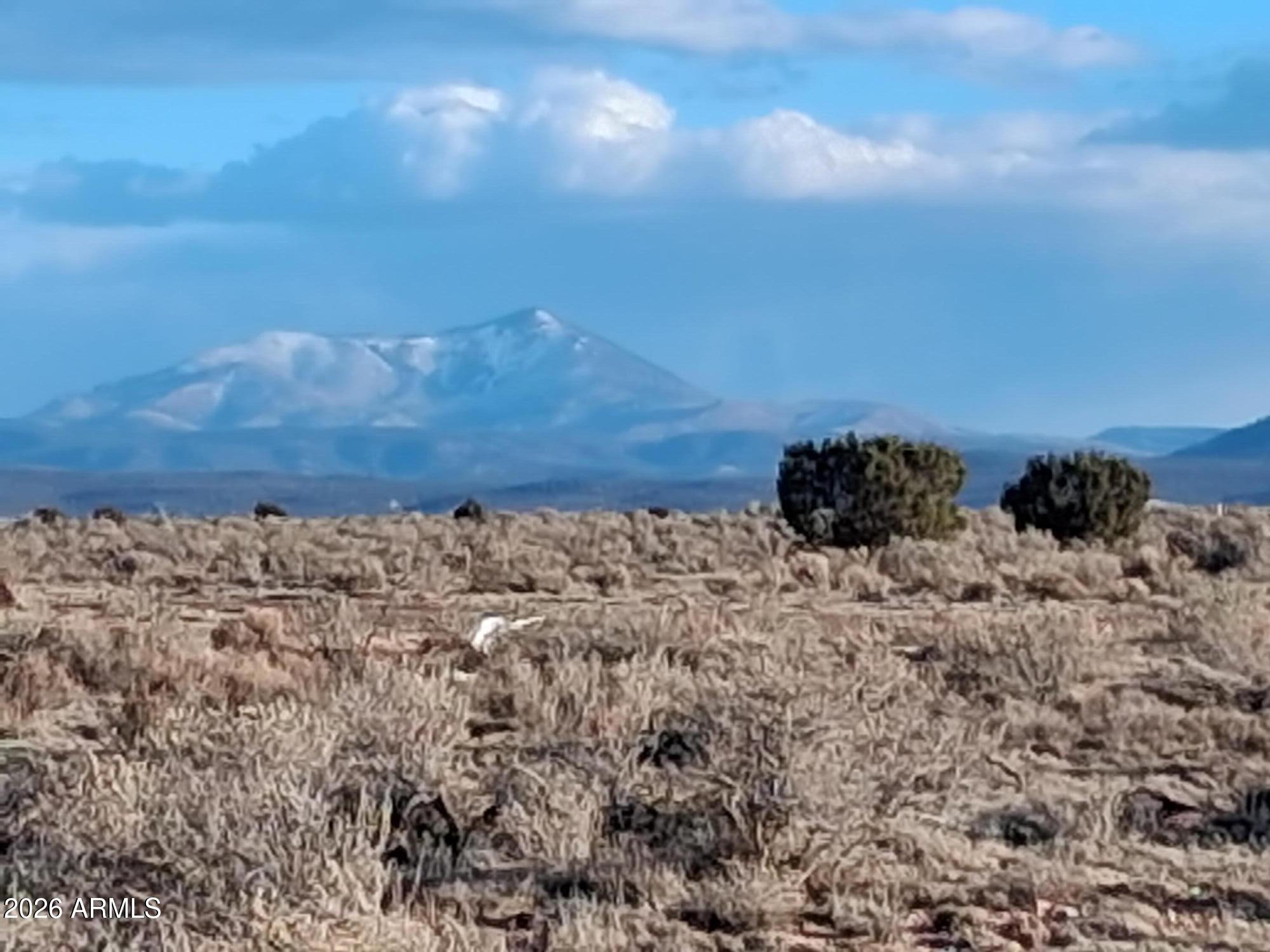 LARGE 1.34 ACRE PARCEL IN NORTHERN ARIZONA!  LOCATED NEAR THE WELL-KNOWN & POPULAR GRAND CANYON JUNCTION.  ONLY A COUPLE OF MILES FROM THE HIGHWAY.  EASY ACCESS TO ASH FORK, WILLIAMS & FLAGSTAFF, AZ.  PERFECT FOR YOUR OFF-GRID OR RECREATIONAL SETUP. APPX 6000 FT ELEVATION.  ZONED AR-1.  COCONINO COUNTY APN 501-43-050*BUYER TO VERIFY SCHOOLS, ZONING / USE, ACCESS, UTILITIES, ACCESS & ALL PERTINENT INFORMATION * DIRECTIONS: US HWY 180/VALLE RD - EAST ON VALLE RD JUST OVER 1 MILE, SOUTH ON CRITTENDEN DR, EAST ON CANBY DR APPX 716 FT. LOT ON SOUTH SIDE OF RD. UTILIZE COUNTY GIS MAPS & GPS  COORD 35.641861, -112.107056.