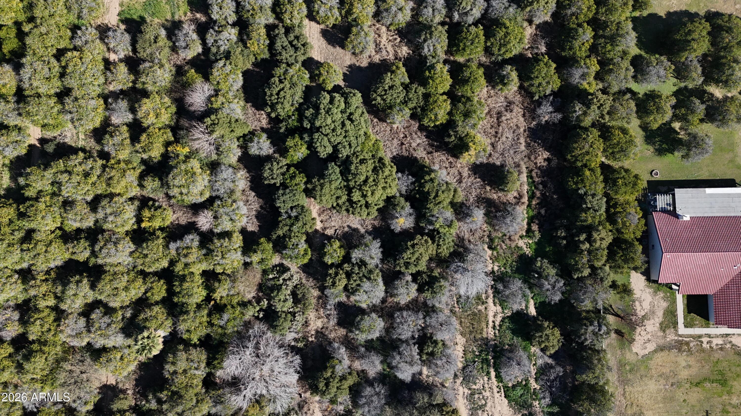 Investment Opportunity - Land