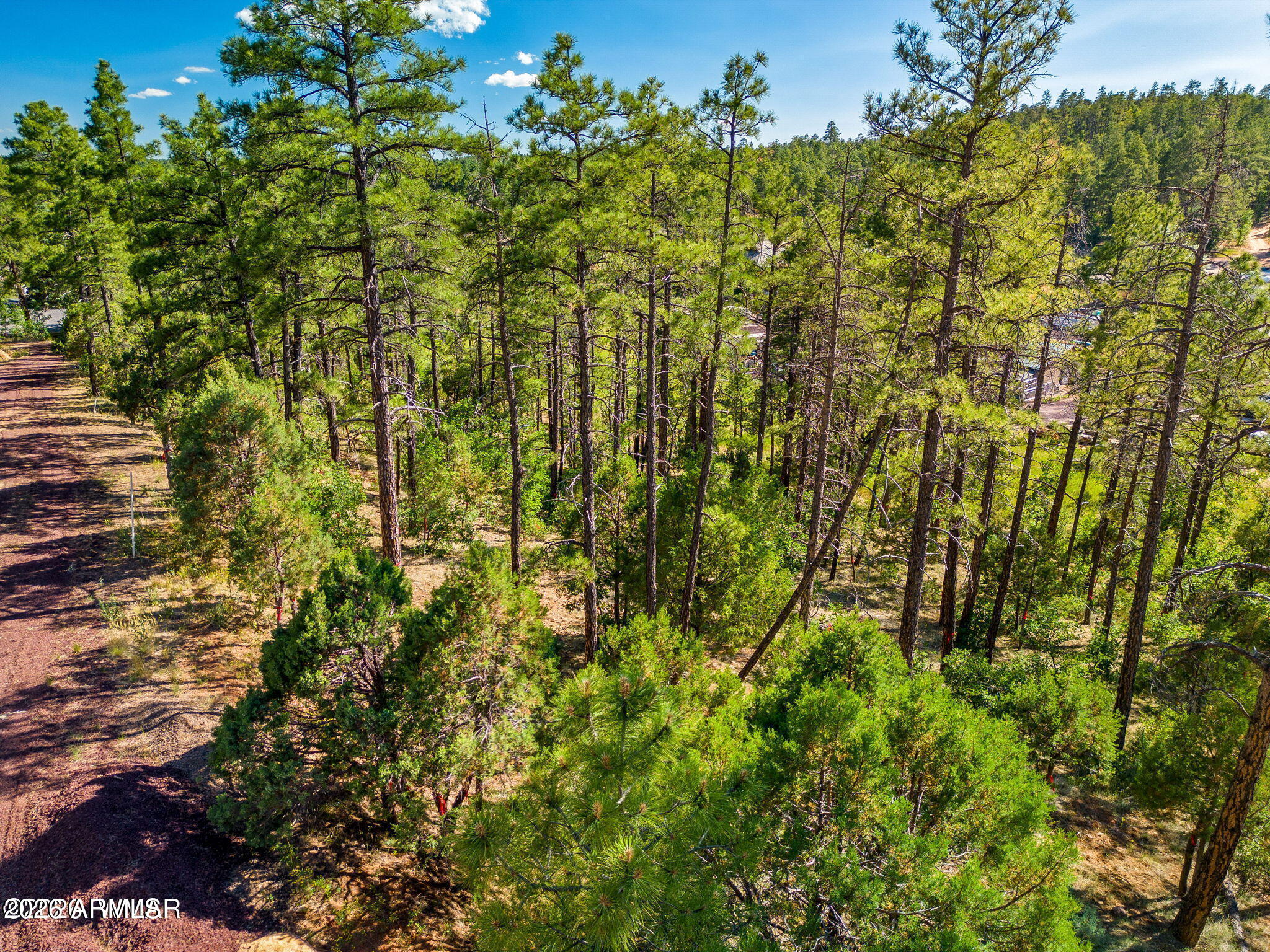 Welcome to 2.47 acres of serene paradise in Show Low, Arizona! Tucked away among the tall pines and breathtaking White Mountains, you'll find a property that's ready for your dream home. Plus with Lakeside only minutes away from this cozy corner of Arizona there are plenty of activities available throughout the year - come see what awaits!