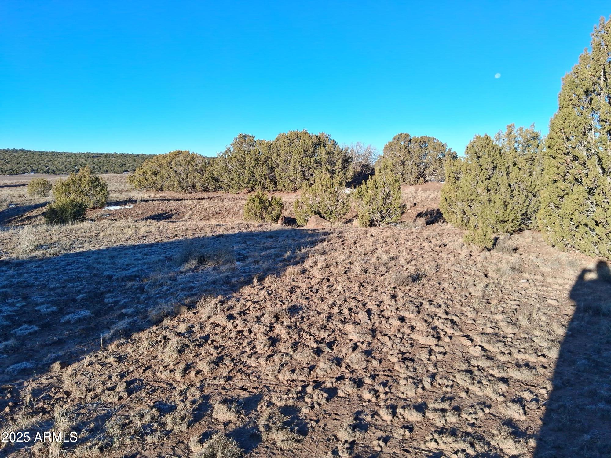 SHOW LOW PINES UNIT 1 - Land