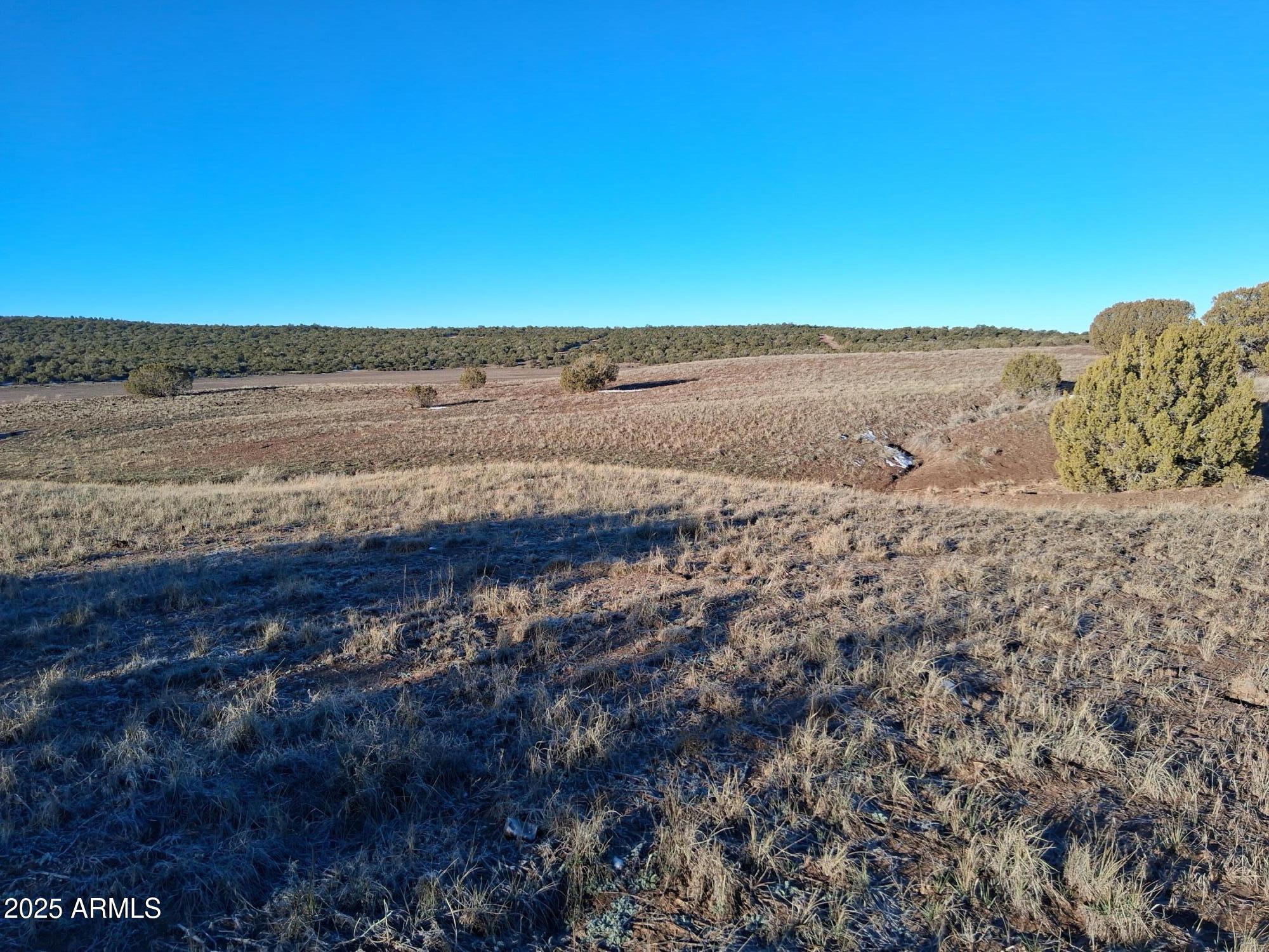 SHOW LOW PINES UNIT 1 - Land