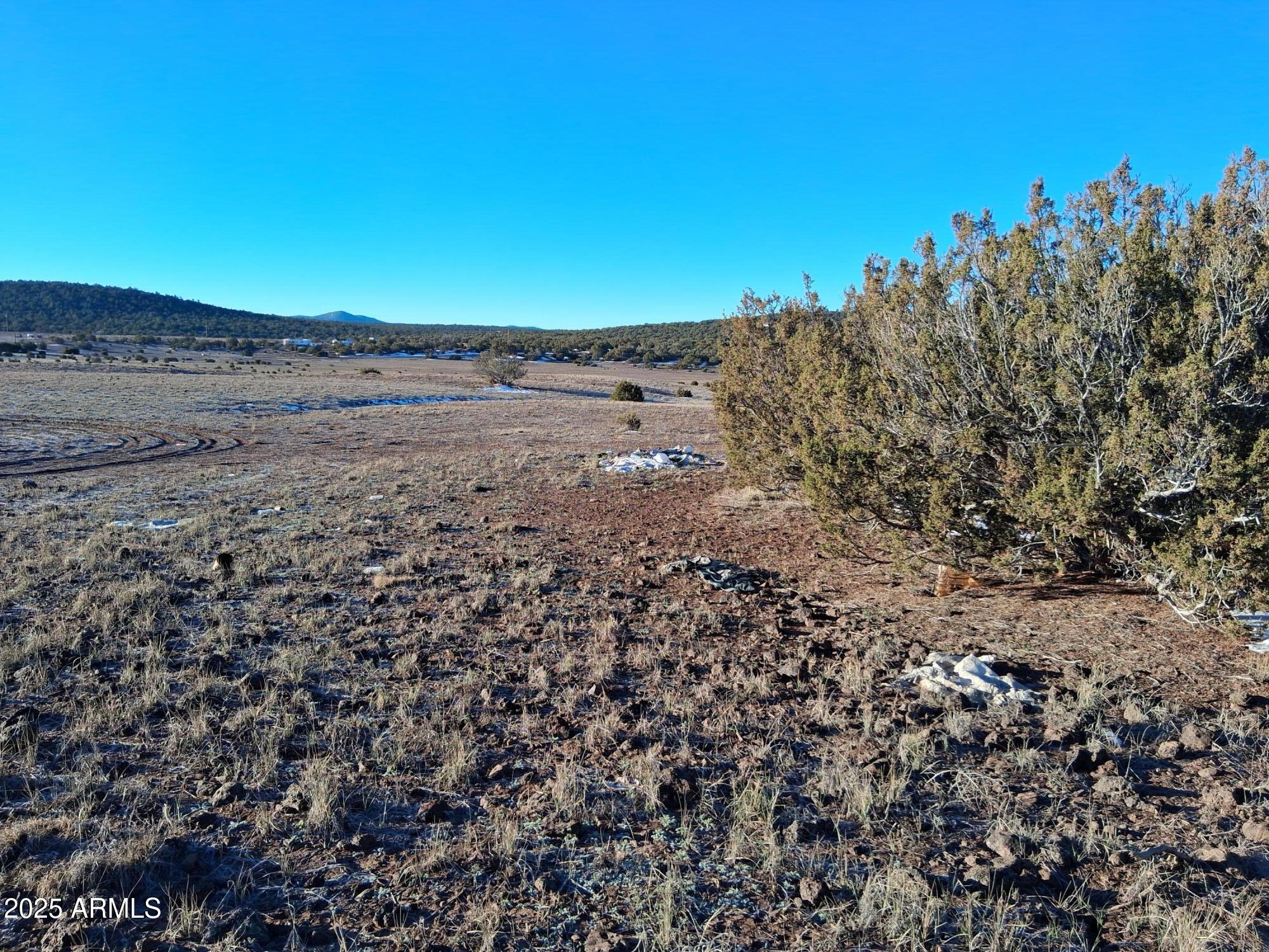 SHOW LOW PINES UNIT 1 - Land