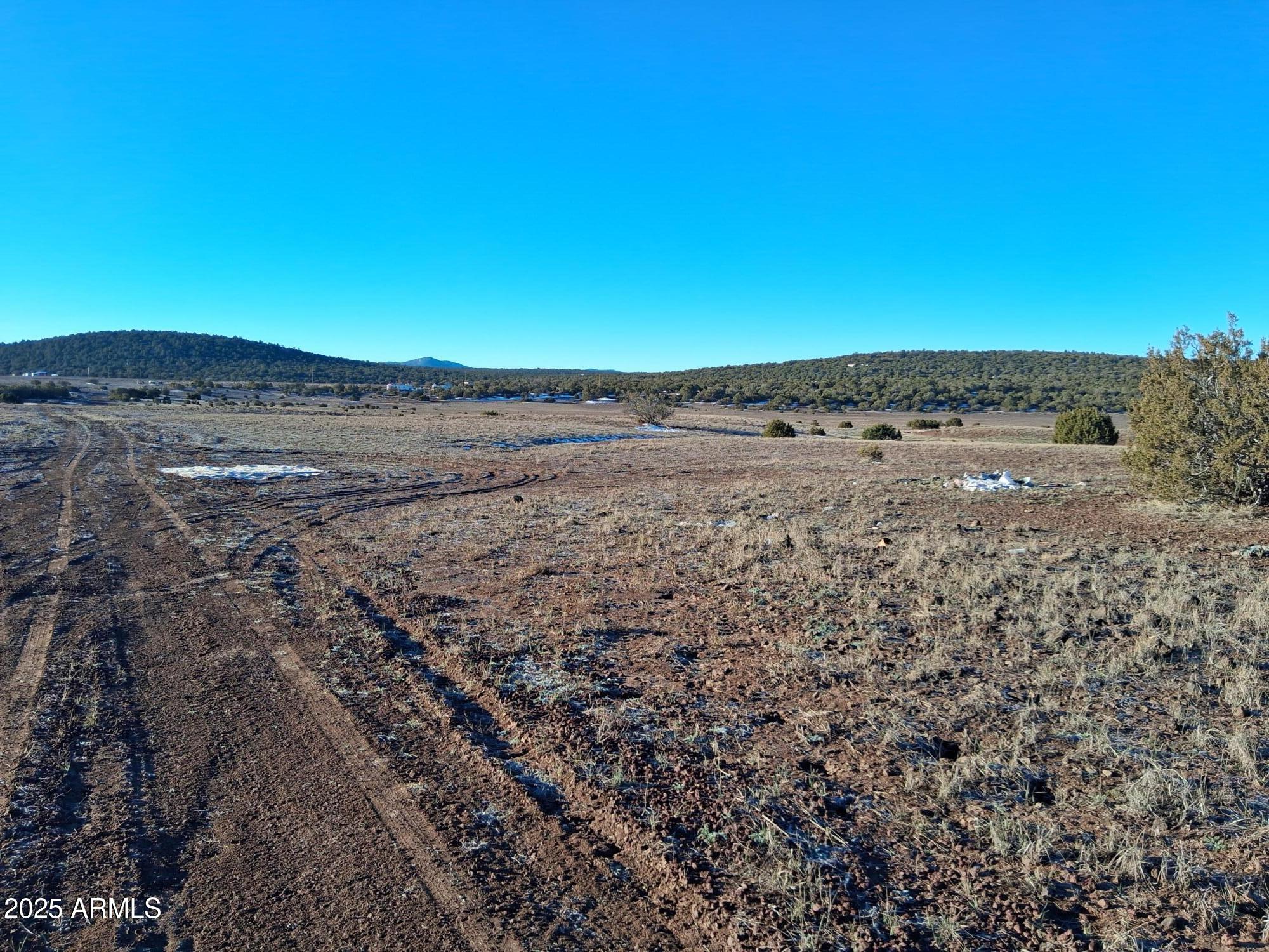 SHOW LOW PINES UNIT 1 - Land