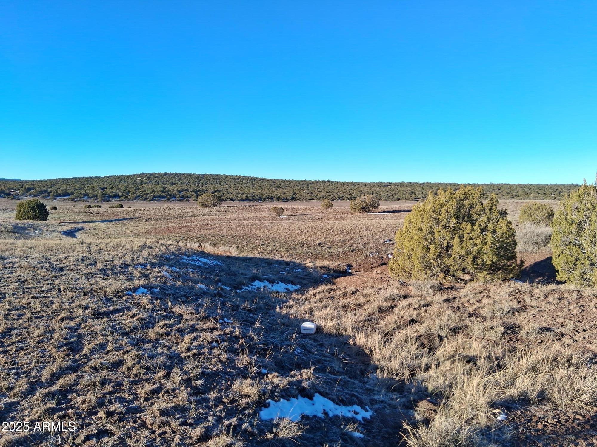 SHOW LOW PINES UNIT 1 - Land