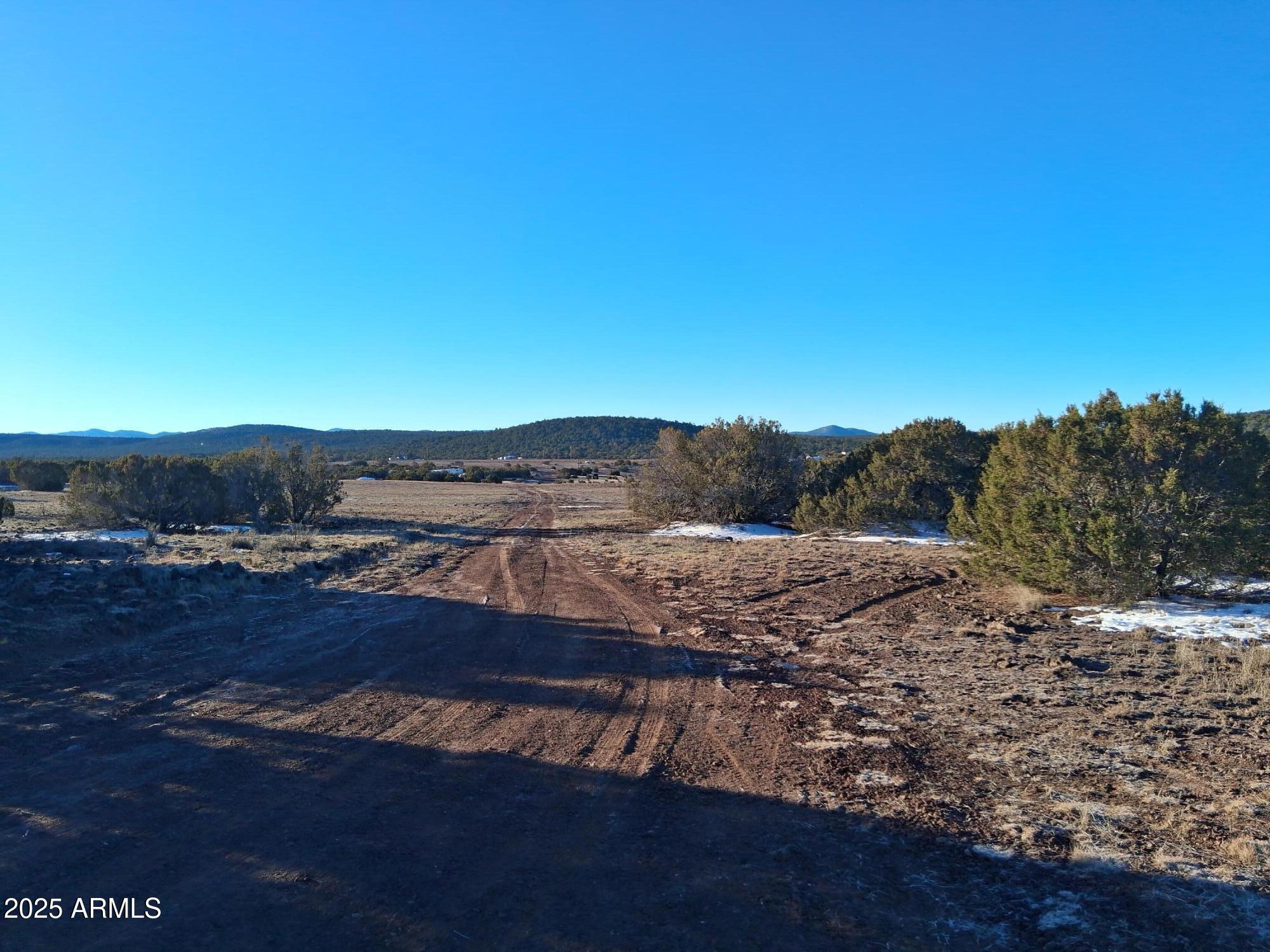 SHOW LOW PINES UNIT 1 - Land