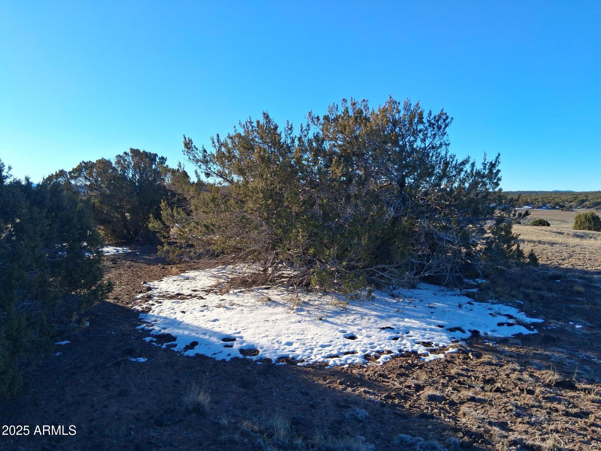 SHOW LOW PINES UNIT 1 - Land