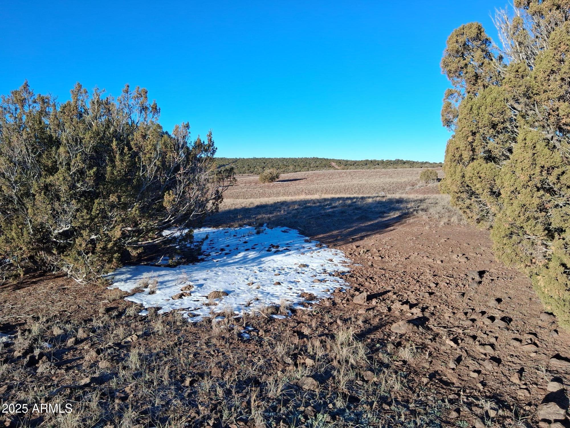SHOW LOW PINES UNIT 1 - Land