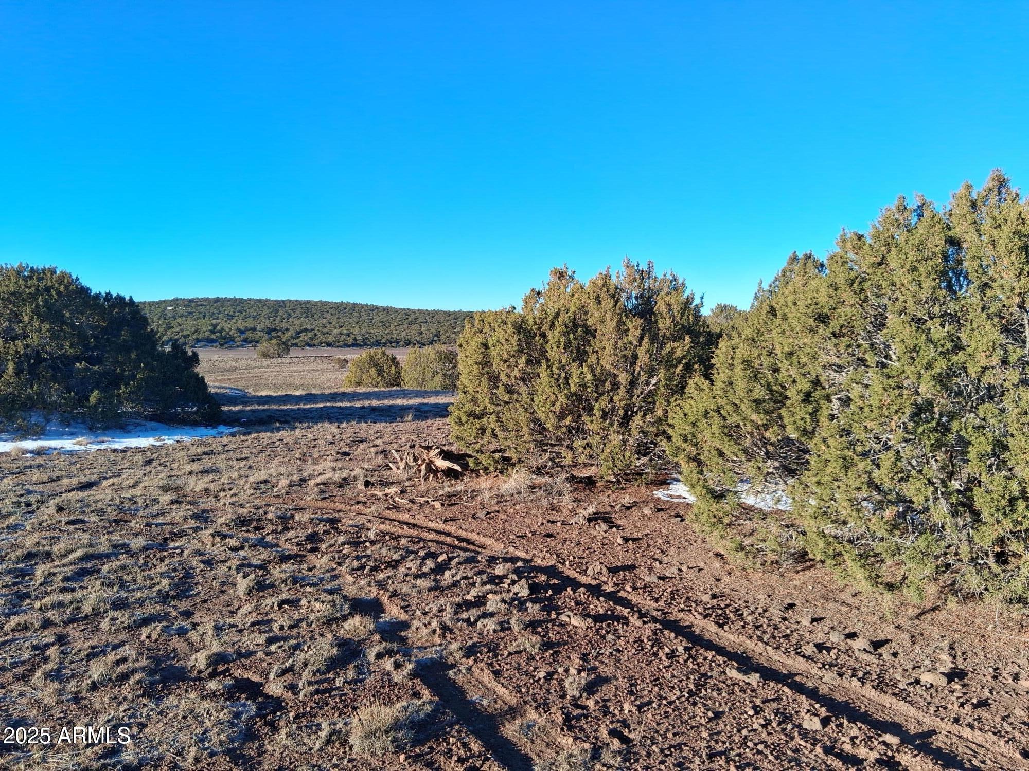 SHOW LOW PINES UNIT 1 - Land