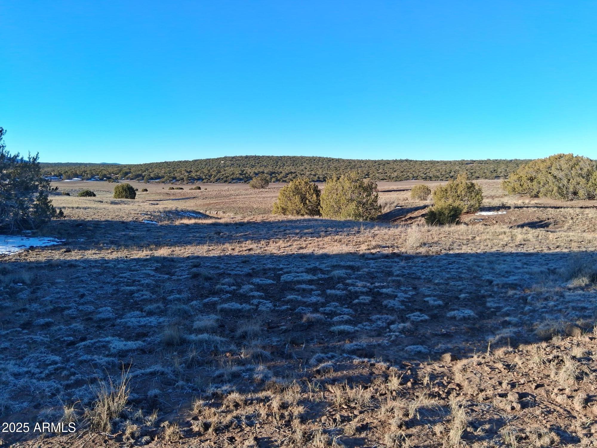 SHOW LOW PINES UNIT 1 - Land