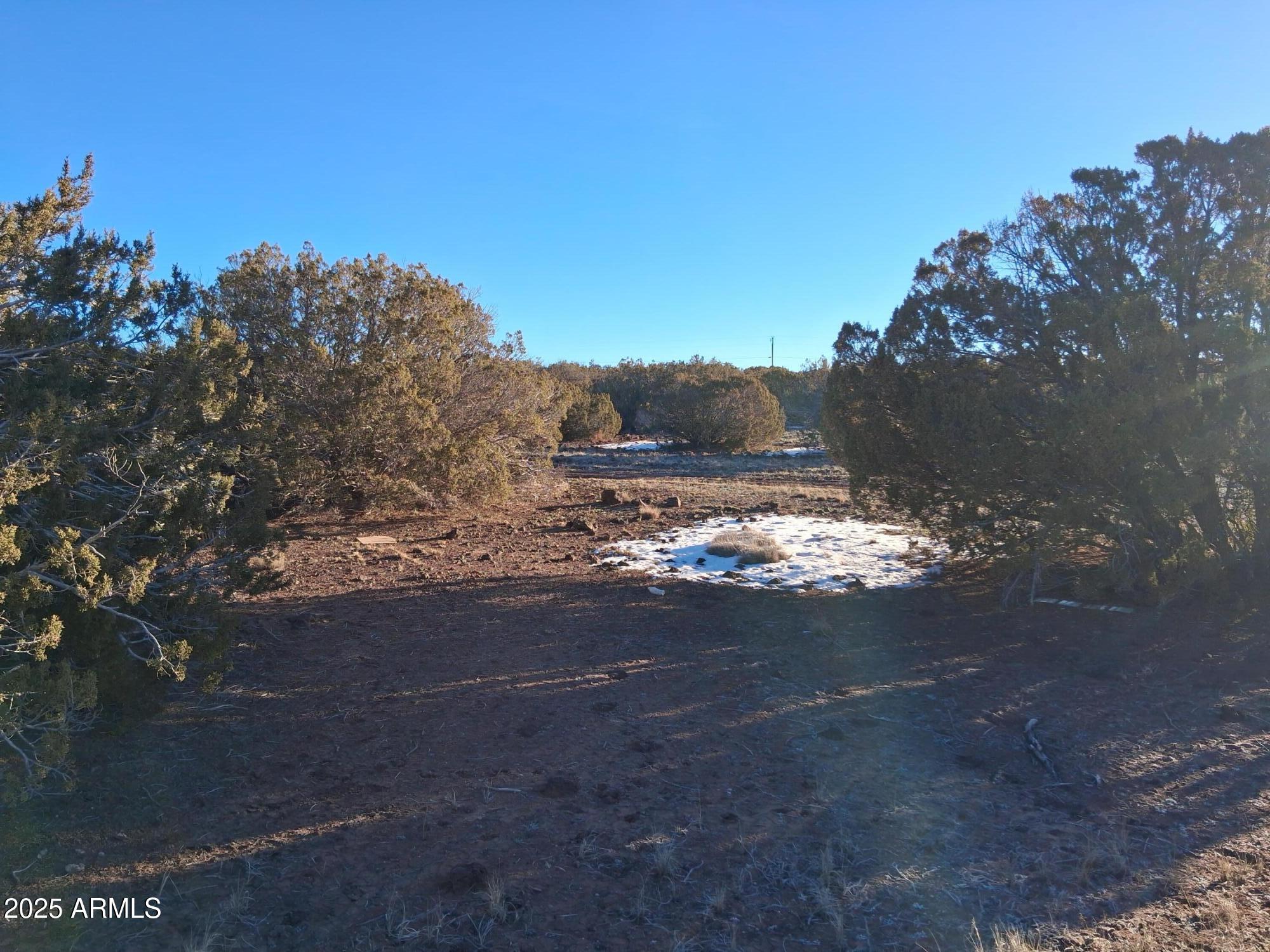 SHOW LOW PINES UNIT 1 - Land