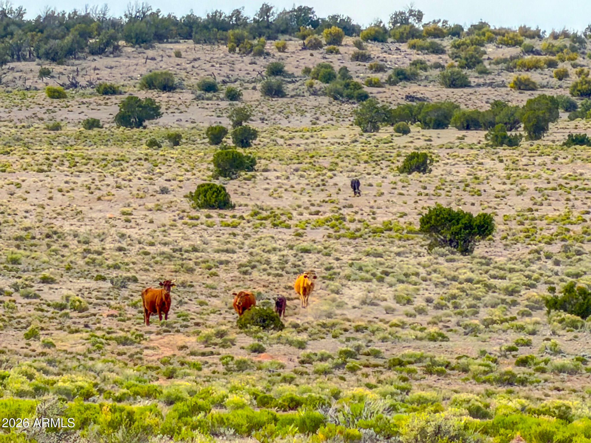 HOWARD MESA RANCH 3 PHASE 2 - Land