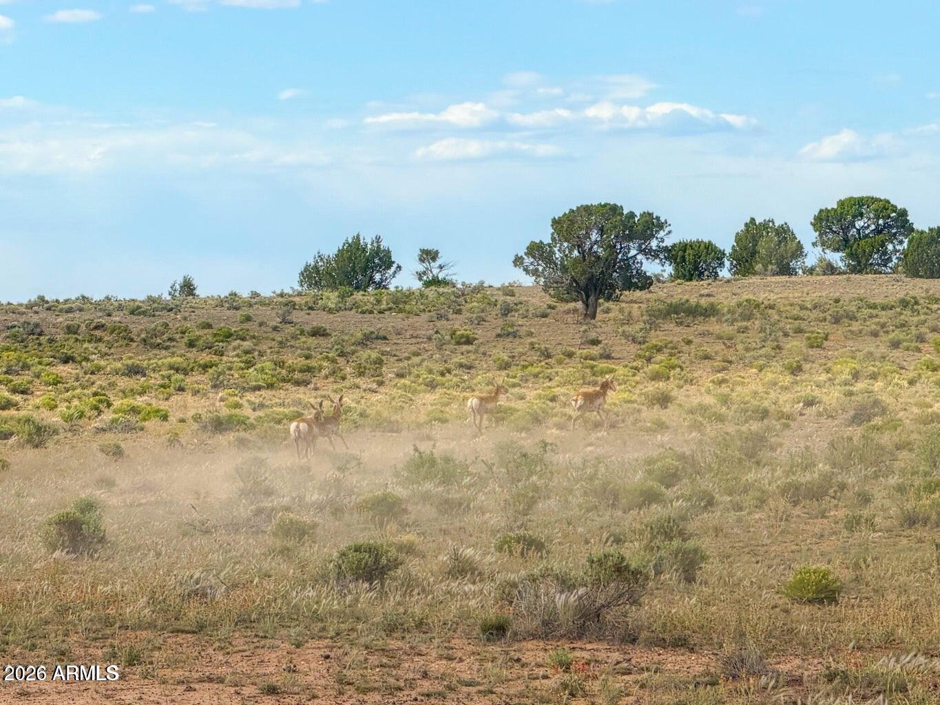 HOWARD MESA RANCH 3 PHASE 2 - Land