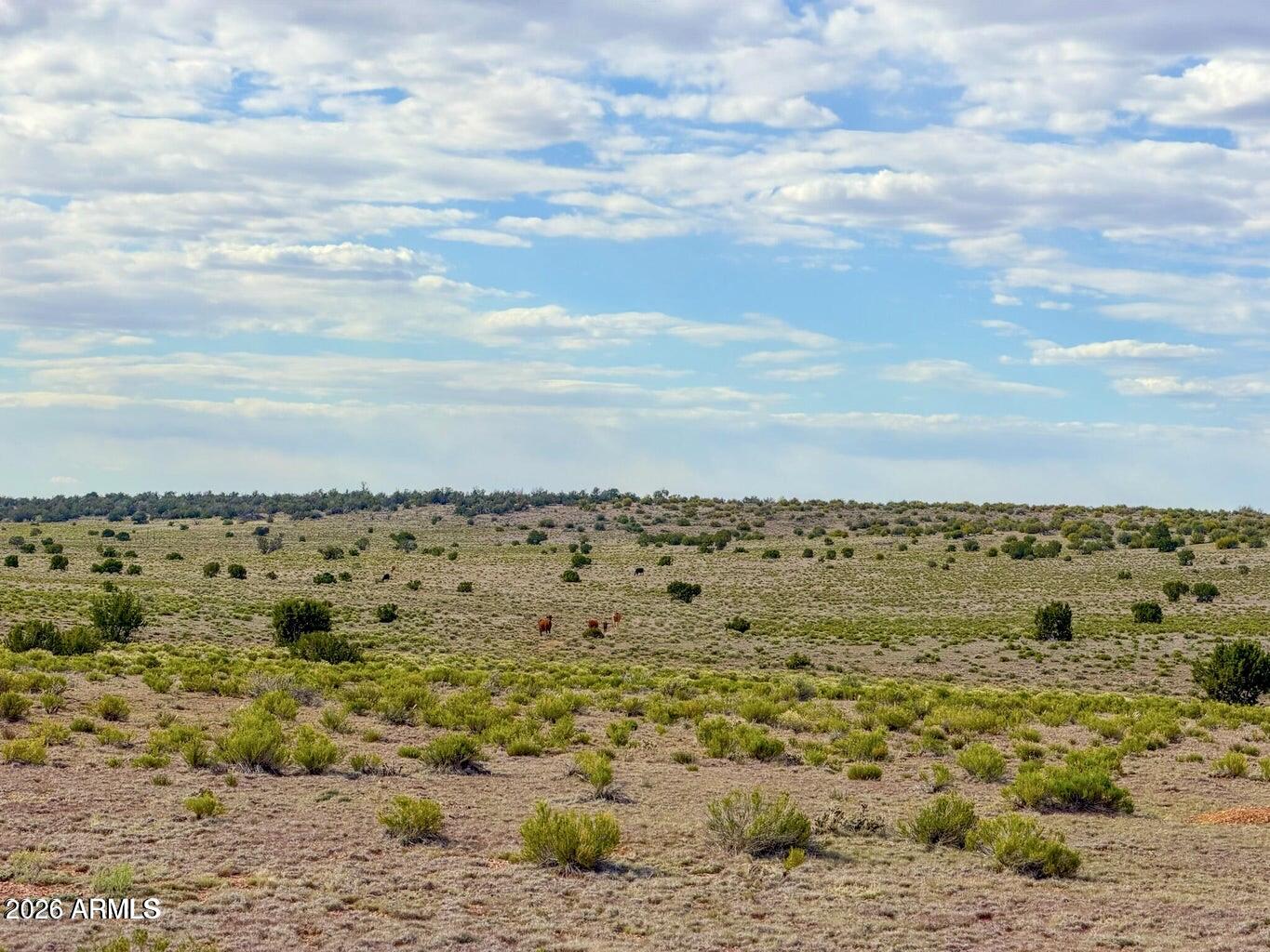 HOWARD MESA RANCH 3 PHASE 2 - Land