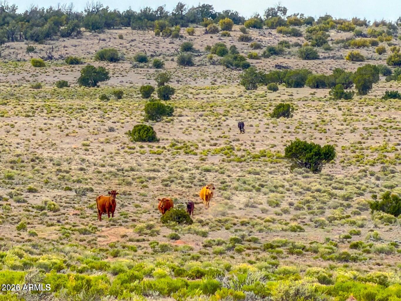 HOWARD MESA RANCH 3 PHASE 2 - Land