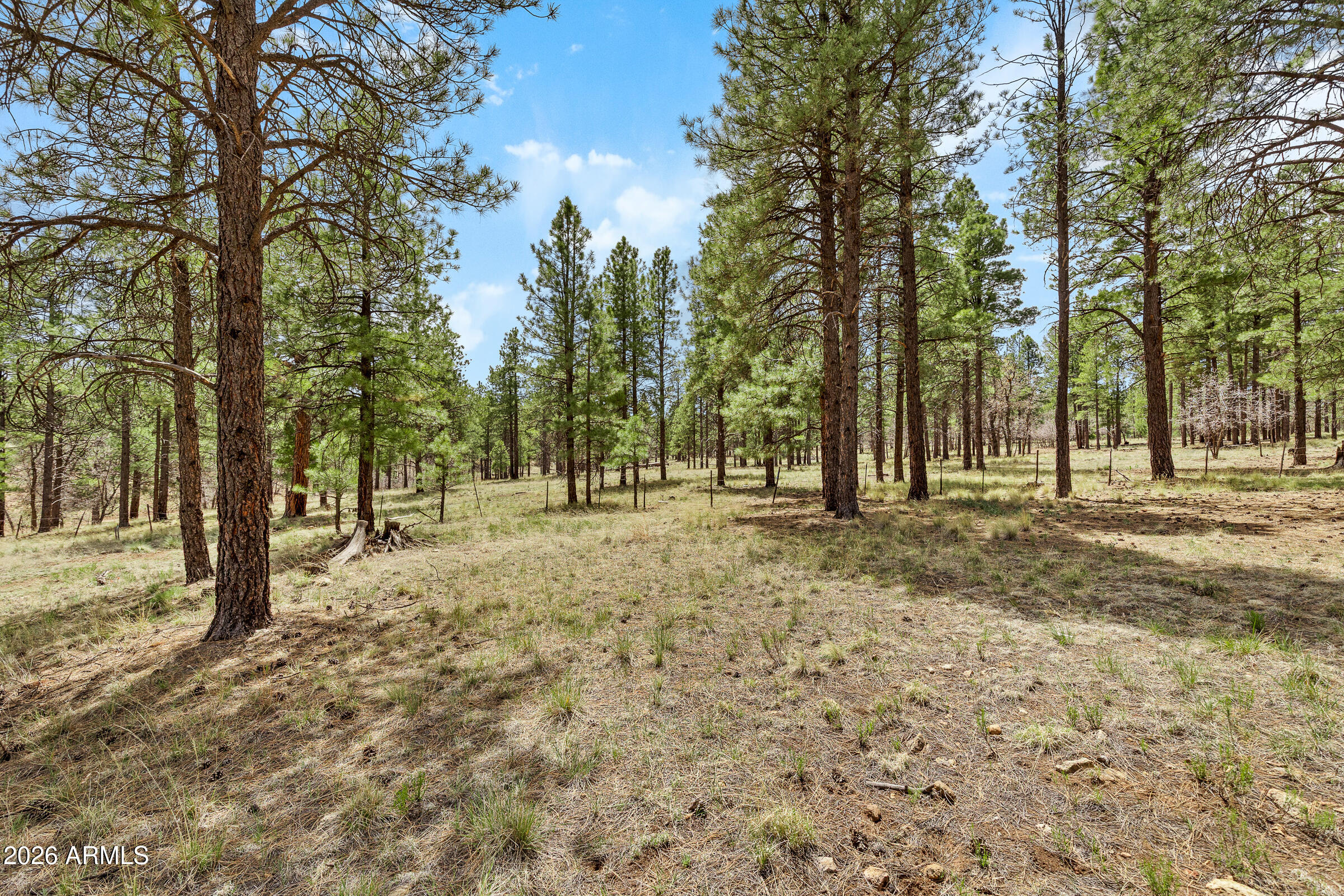 WALNUT RIDGE ESTATES - Land