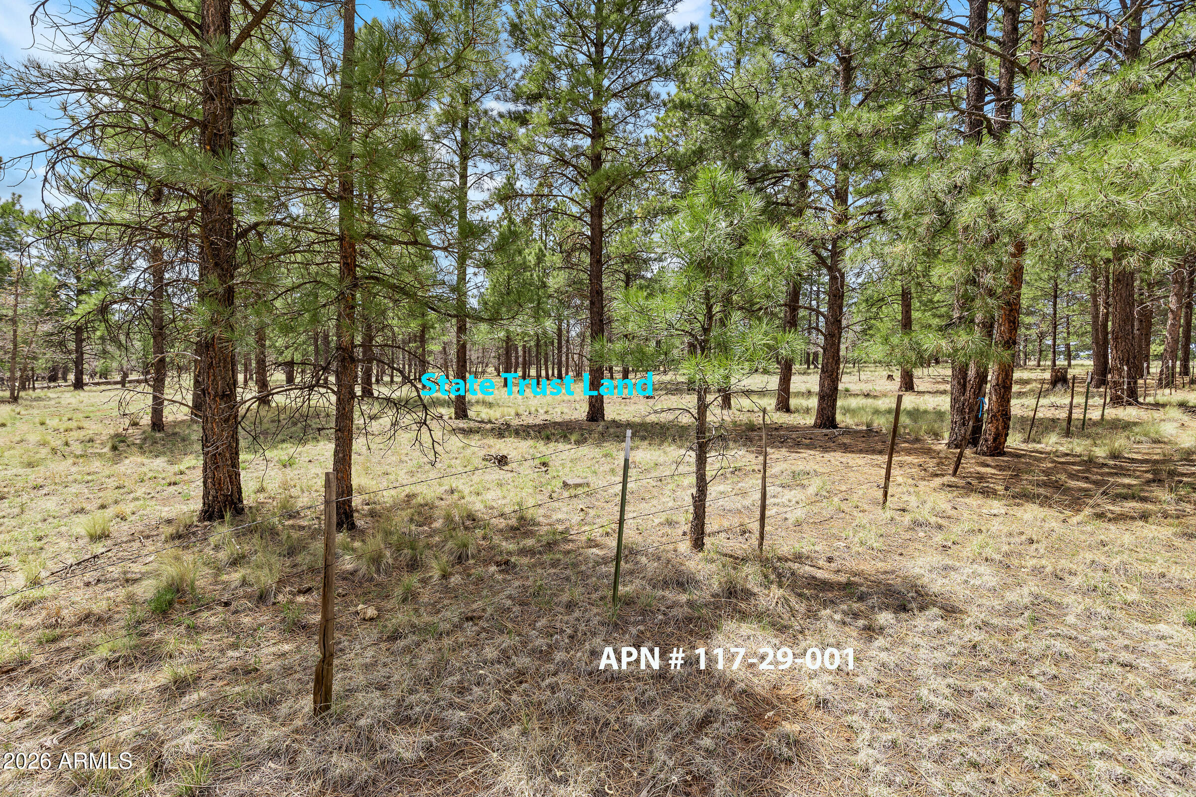 WALNUT RIDGE ESTATES - Land