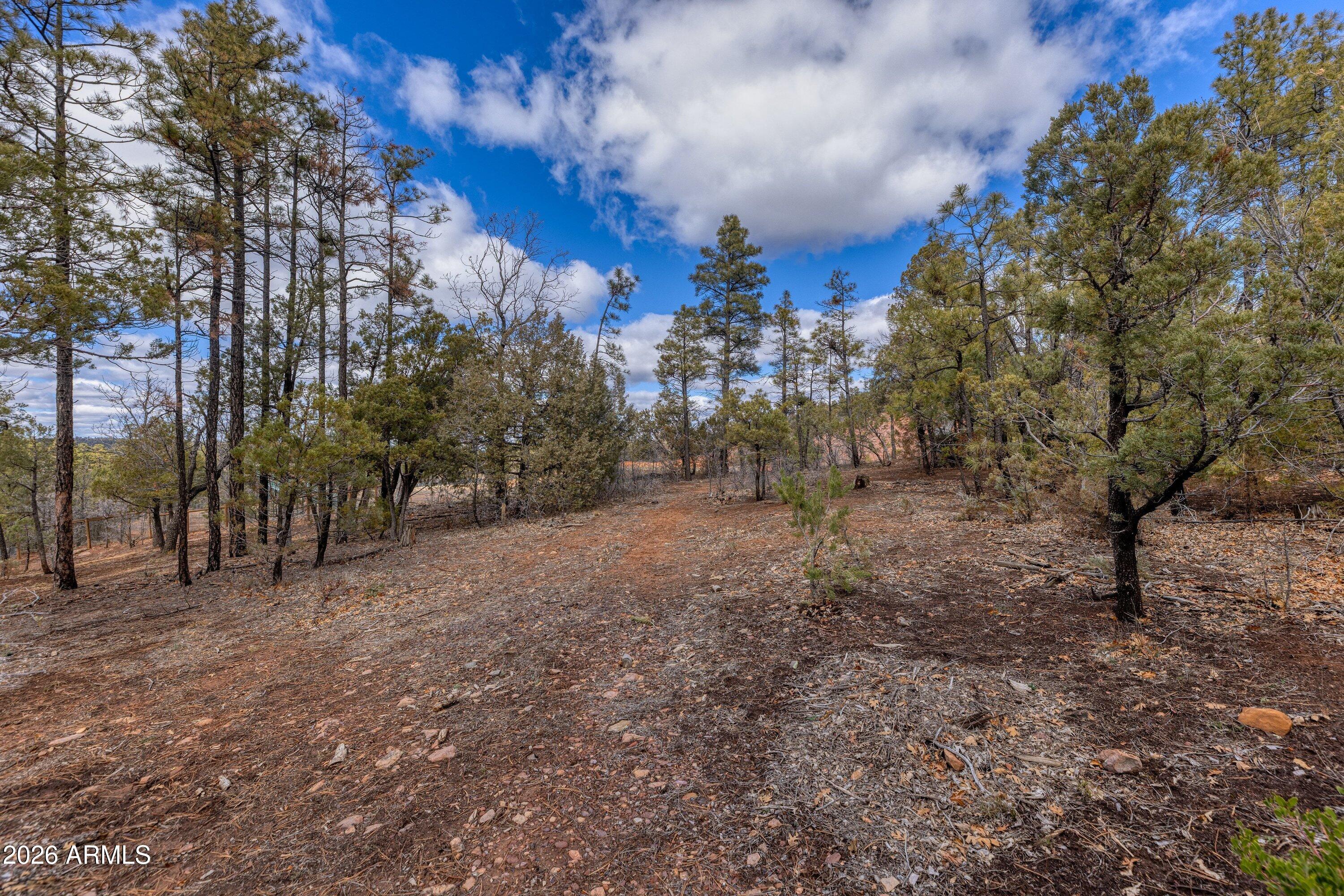 Evergreen Estates in Show Low, Arizona was developed in 2002 and is now nearly built out with beautiful estate-style custom homes. Opportunities like this are rare.

Tucked at the end of a quiet cul-de-sac on Pine Way, this 12,000 square foot lot offers the perfect setting to build your dream mountain home. You'll love the tall pine trees, underground utilities, and the privacy that comes from being positioned up on the mountain.

It feels secluded and peaceful, yet you're just minutes from shopping, dining, lakes, and everything Show Low has to offer.

With plans already in hand, this property is ready for you and your builder to bring your vision to life.

If you've been waiting for the right lot in Evergreen Estates, this is it.