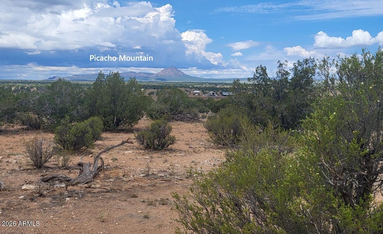 Juniperwood Ranch - Land