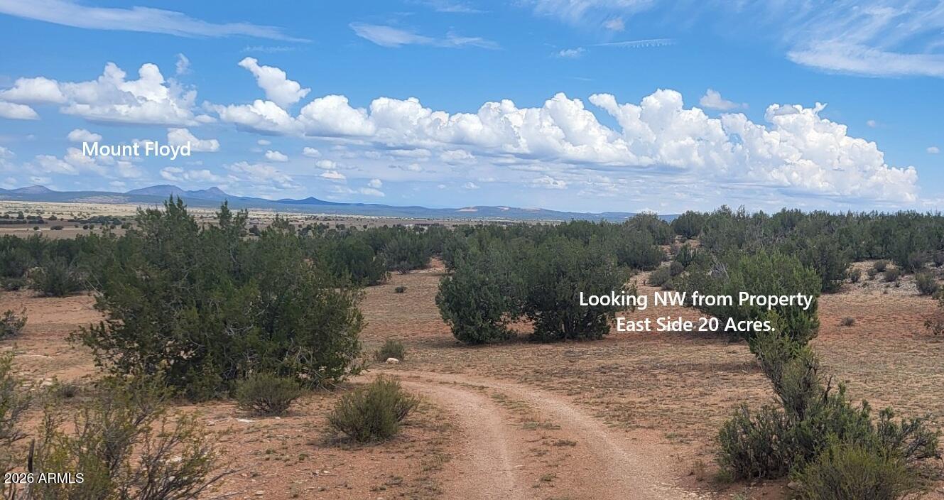 Juniperwood Ranch - Land