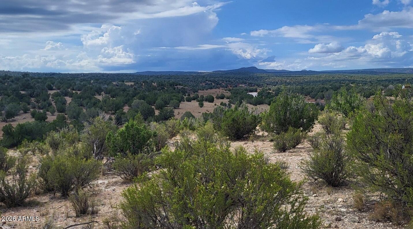 Juniperwood Ranch - Land