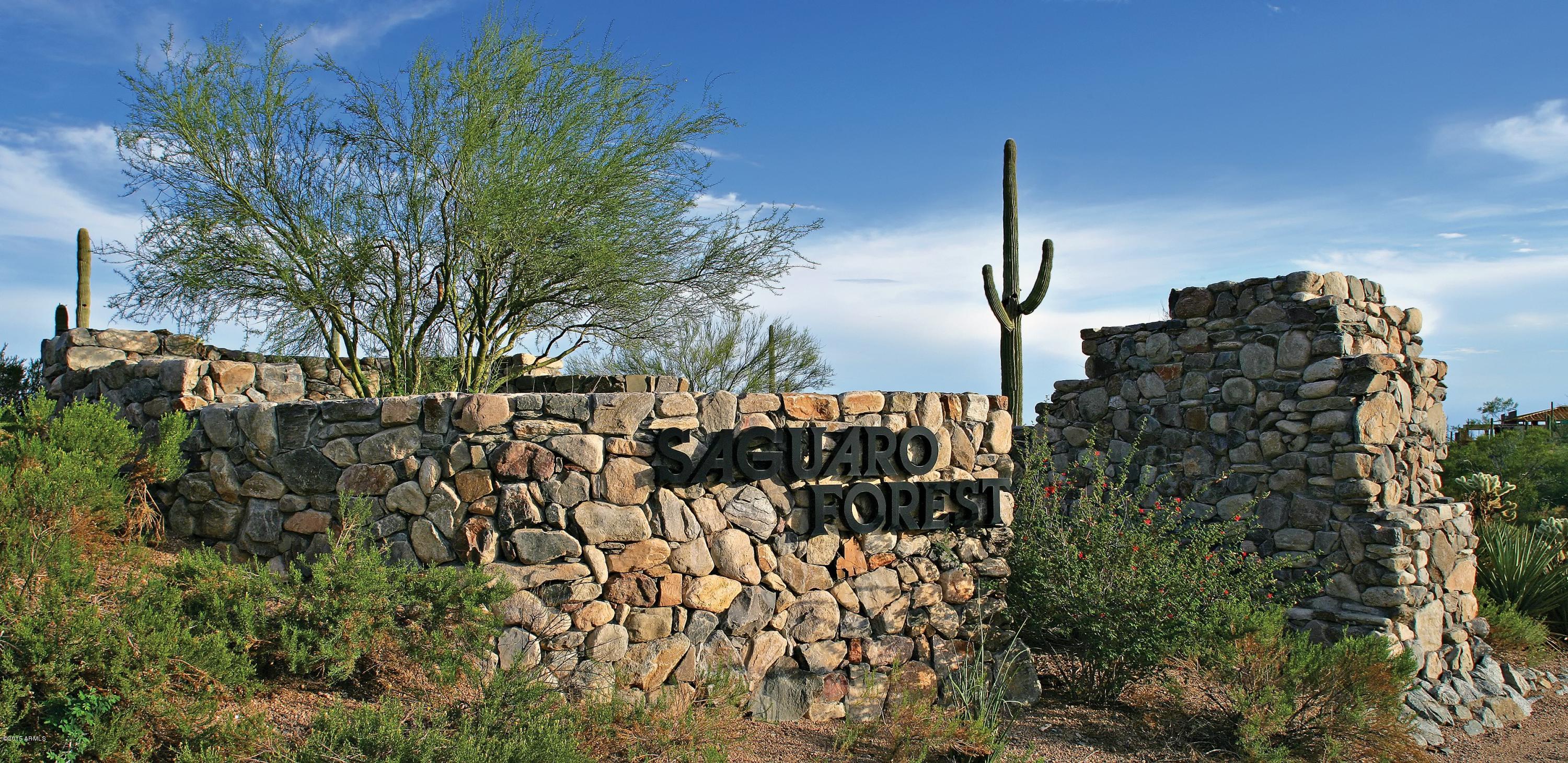 Desert Mountain - Residential