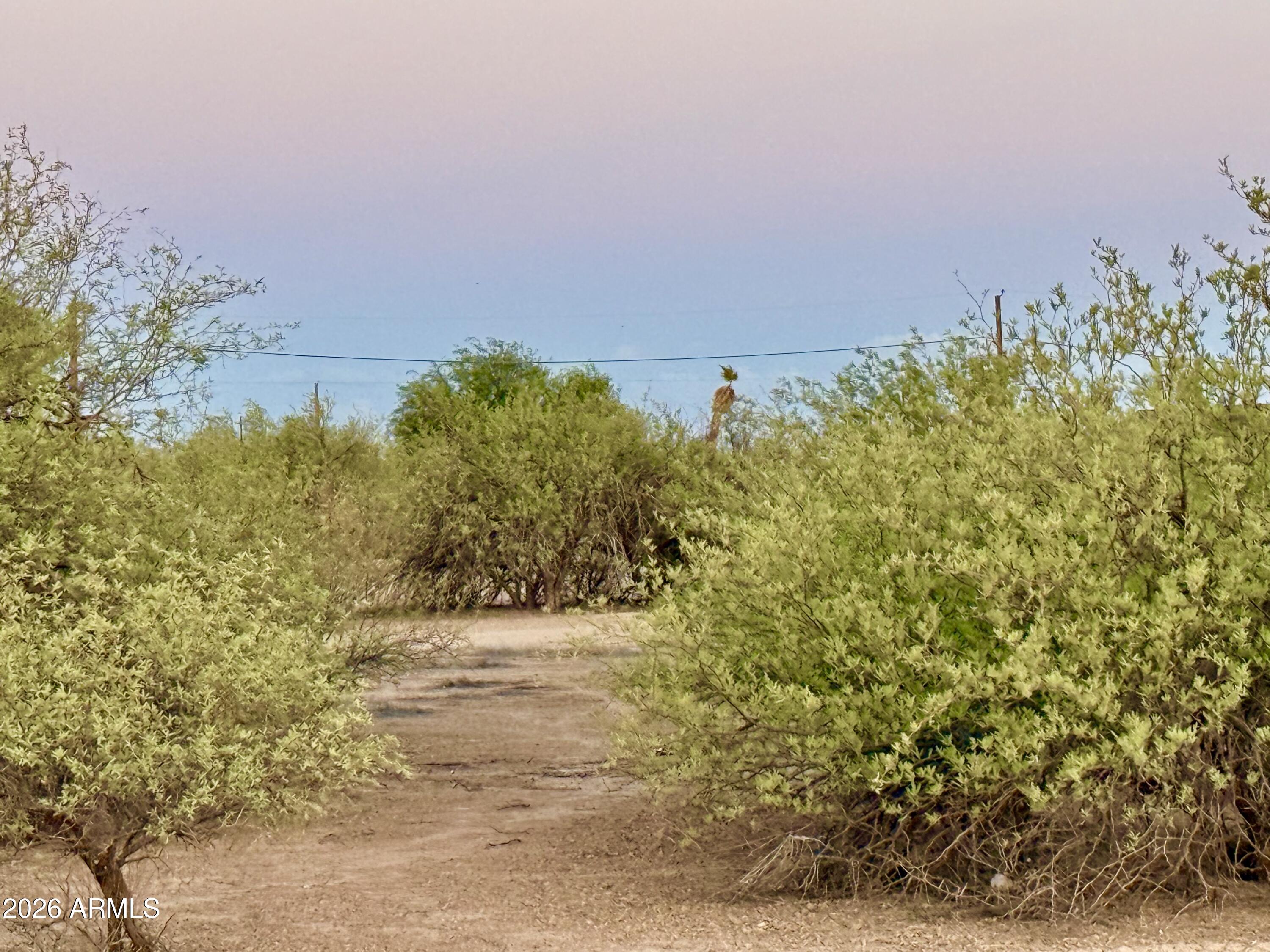 TOLTEC/ARIZONA VALLEY UNIT ONE - Land