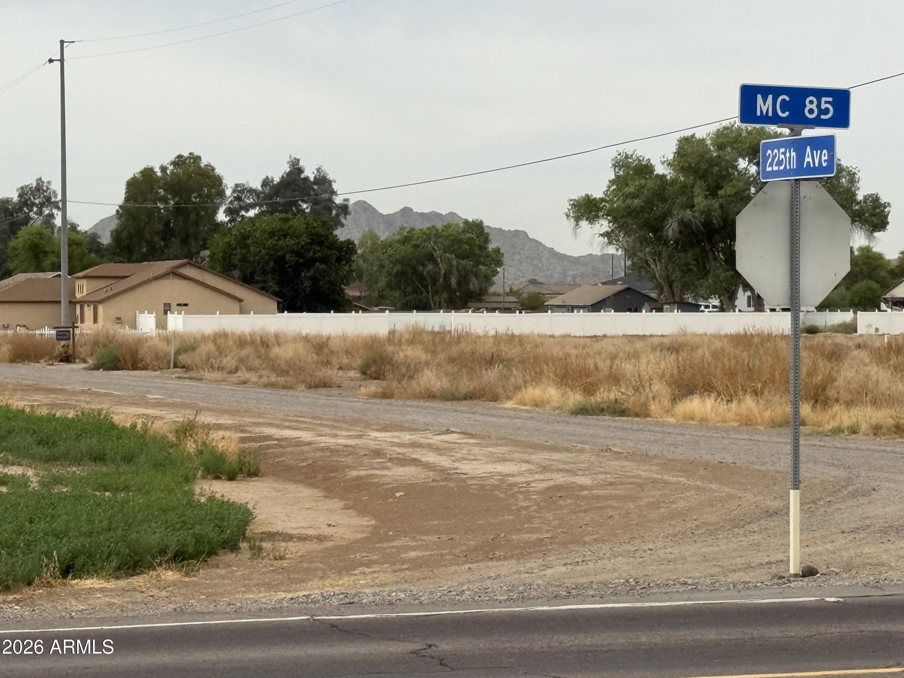 One acre conveniently located very close to Buckeye, yet minutes from Phoenix, one lot away from MC-85.  Located in the middle of the growth path. Perfectly flat and 100% usable, Easy access to many destinations in the Valley. Flood irrigation available. Electricity to the property. No water well yet or water company. No sewer. 3 corners are marked with white pipes. Potential for commercial. Buyer and or Agent to verify all information. The address 7778 s 225th Ave is not official yet.