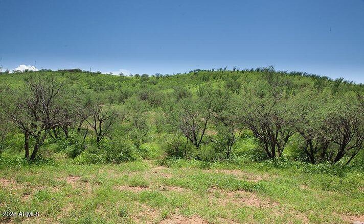 LAKE PATAGONIA RANCH 1 - Land
