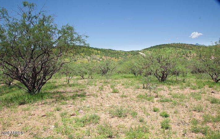 LAKE PATAGONIA RANCH 1 - Land