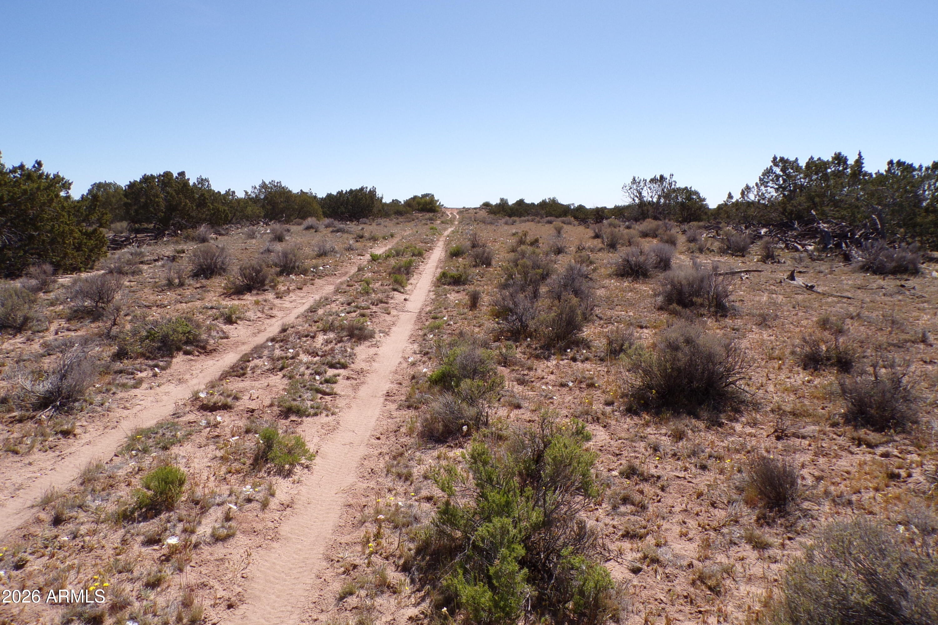 ARIZONA PARK ESTATES UNIT 3 - Land