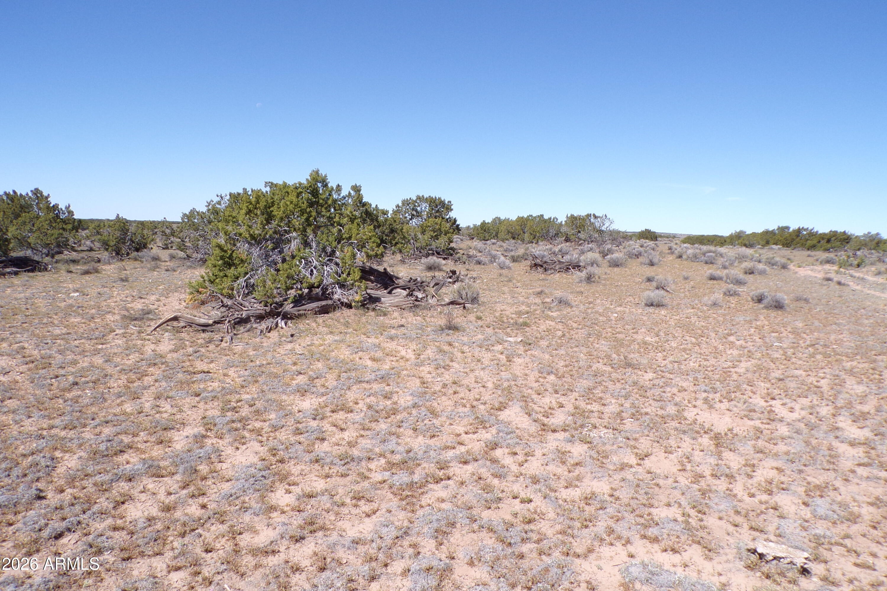 ARIZONA PARK ESTATES UNIT 3 - Land
