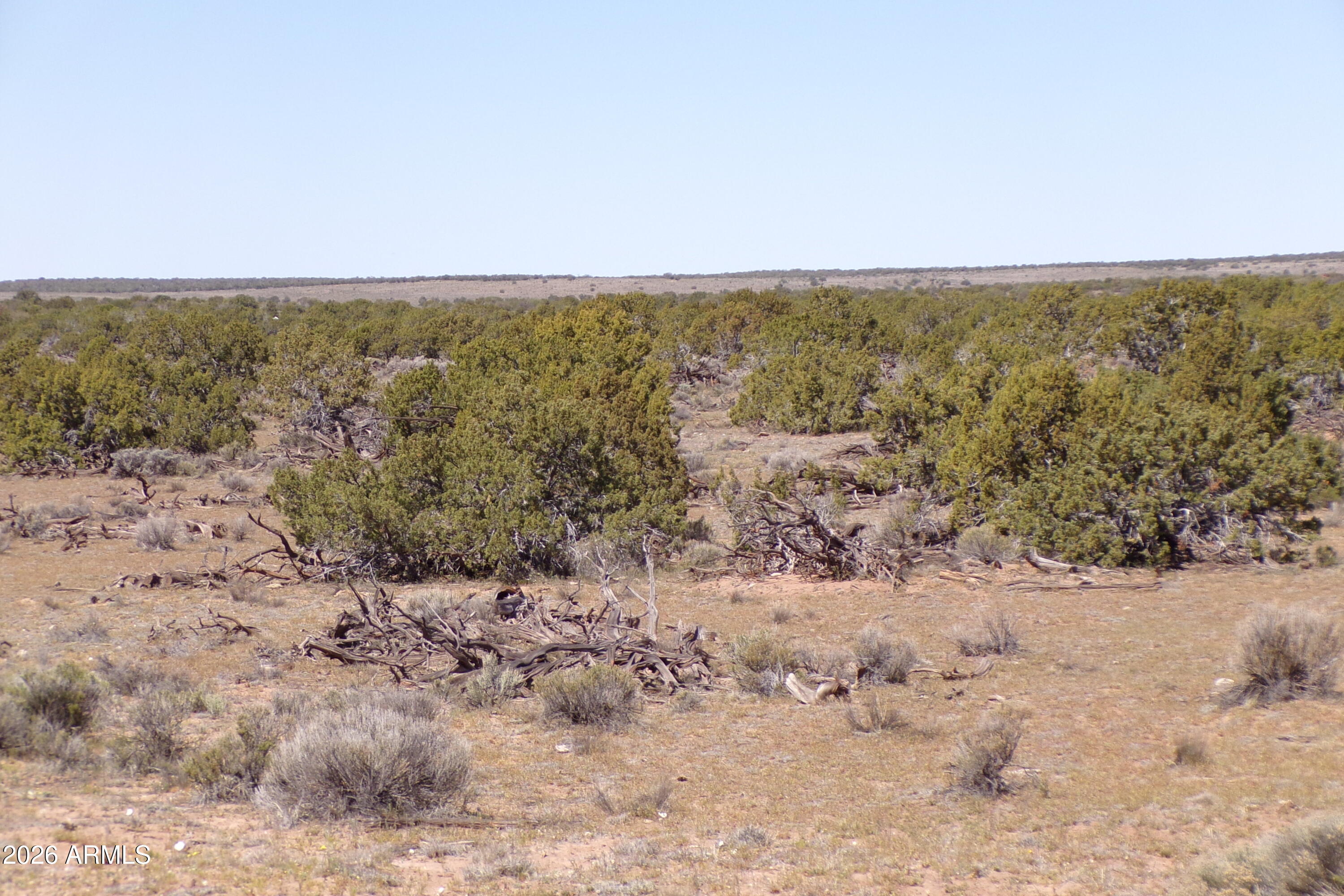 ARIZONA PARK ESTATES UNIT 3 - Land