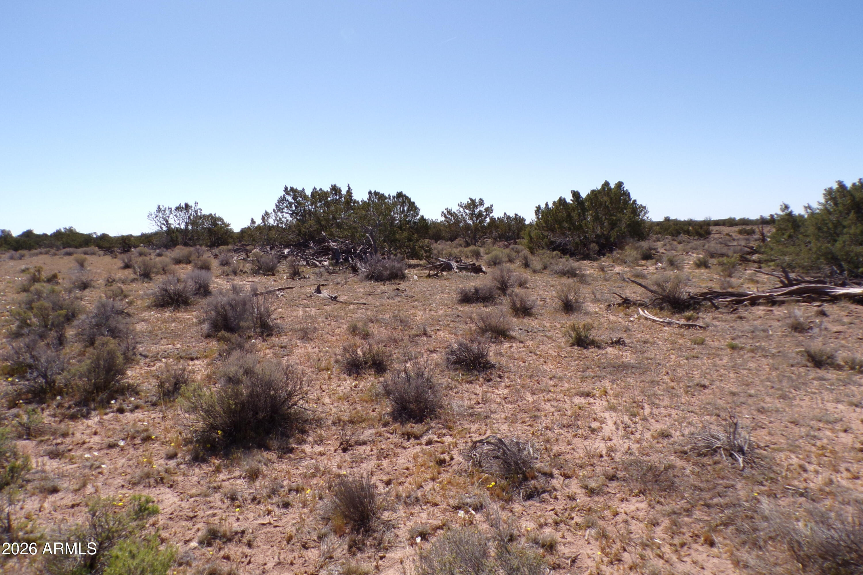 ARIZONA PARK ESTATES UNIT 3 - Land