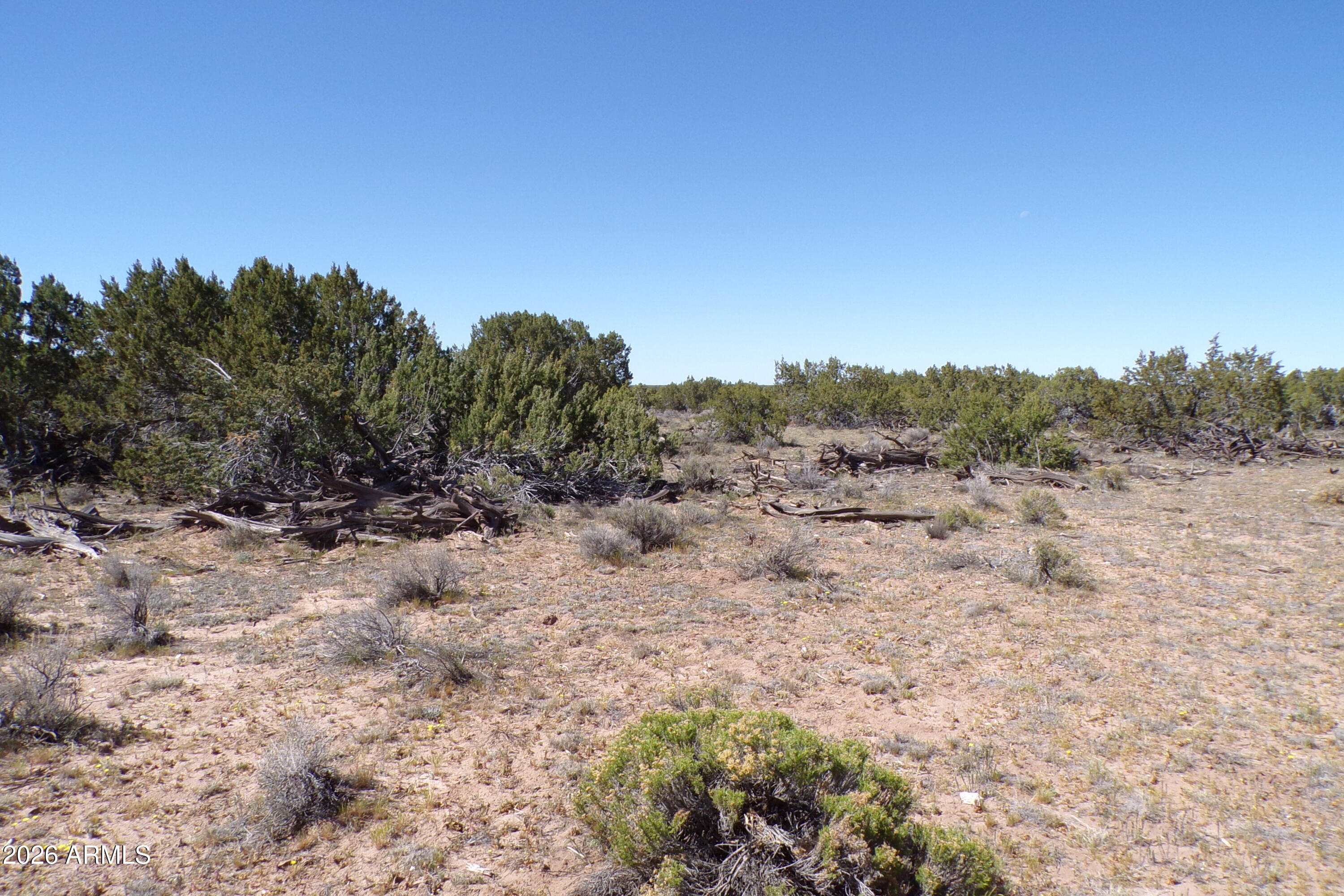 ARIZONA PARK ESTATES UNIT 3 - Land