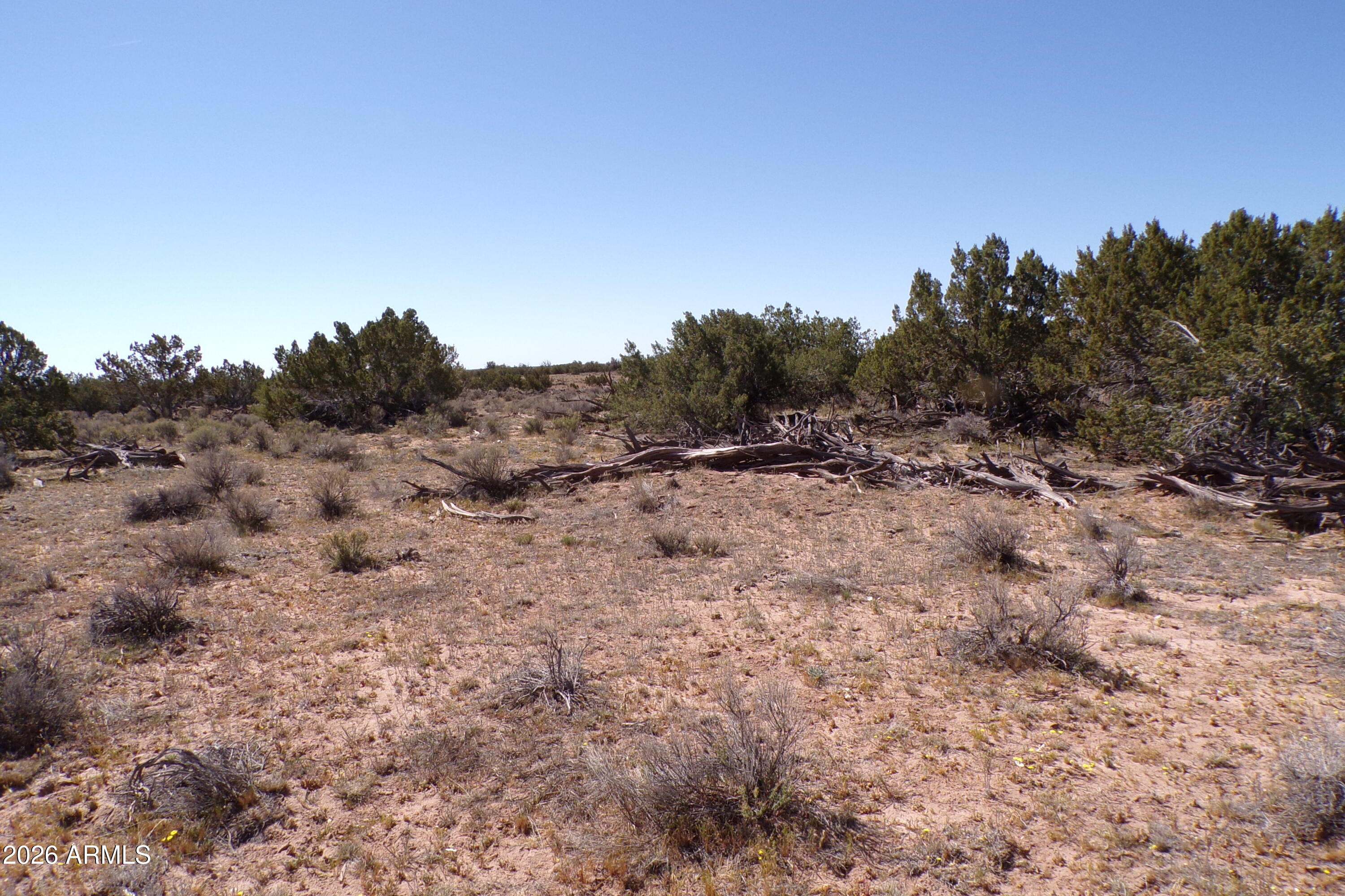 ARIZONA PARK ESTATES UNIT 3 - Land