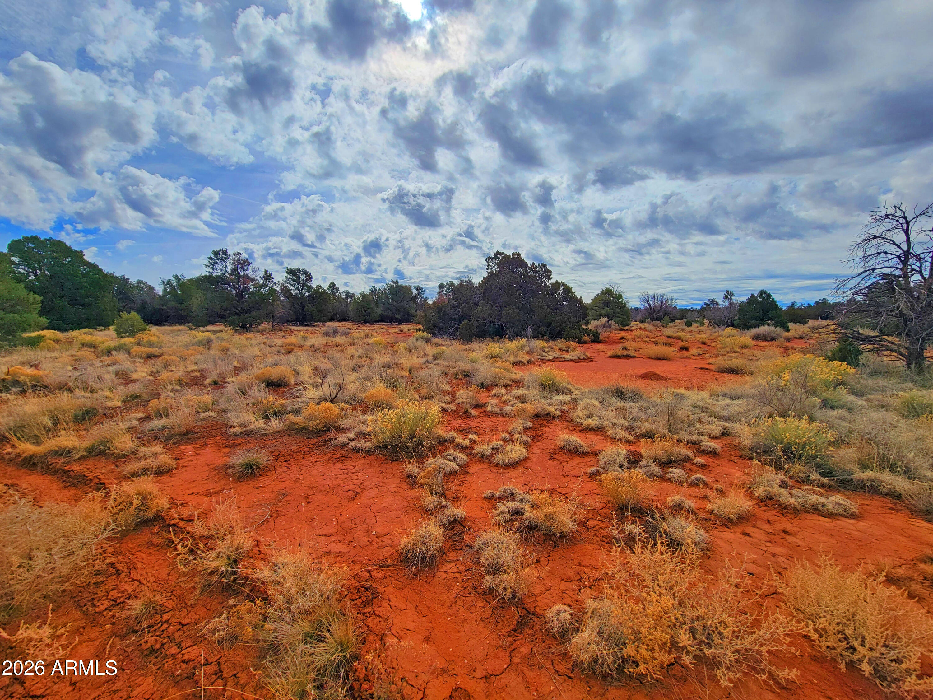 GRAND CANYON 19 - Land